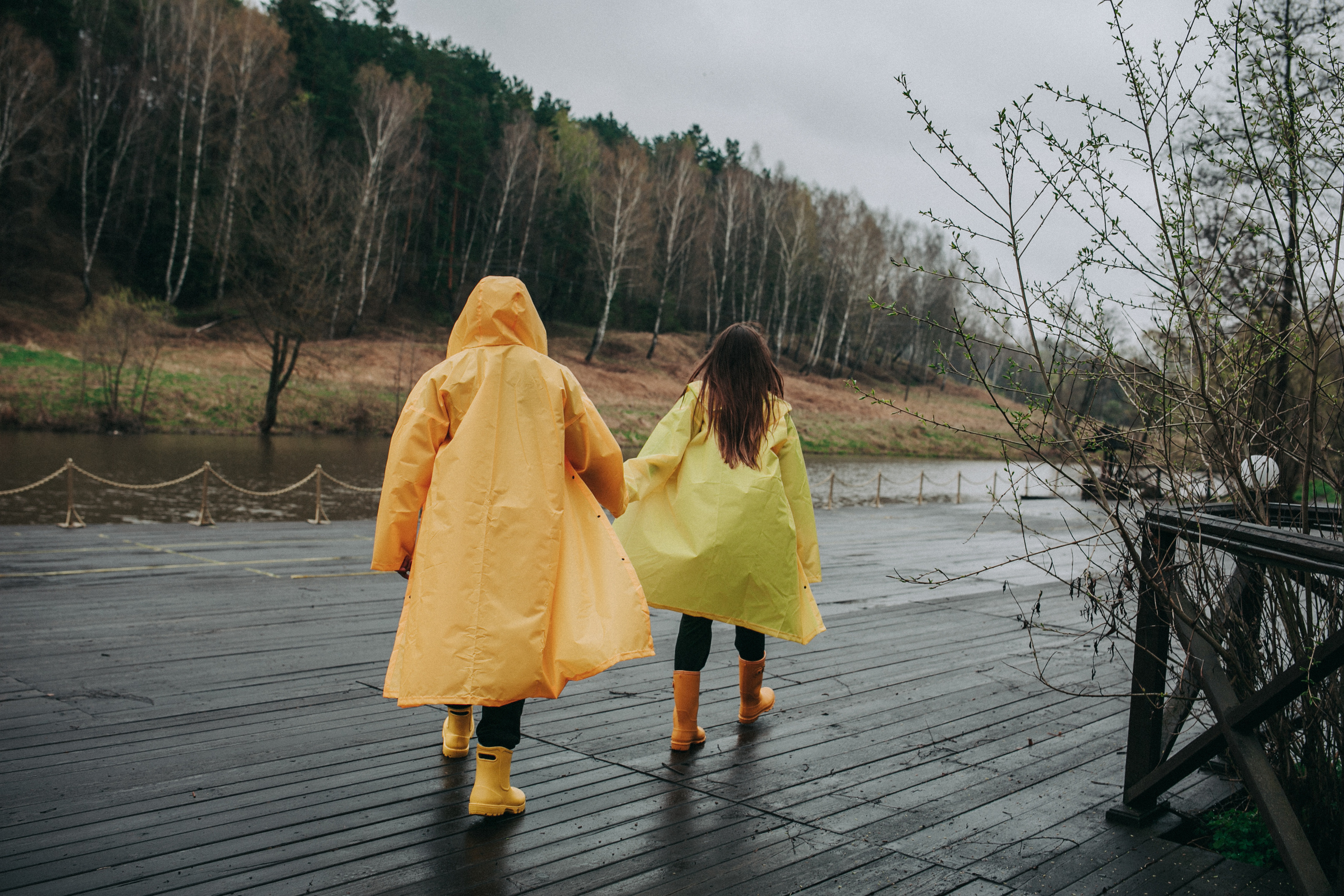 Rain. AnnVish photographer