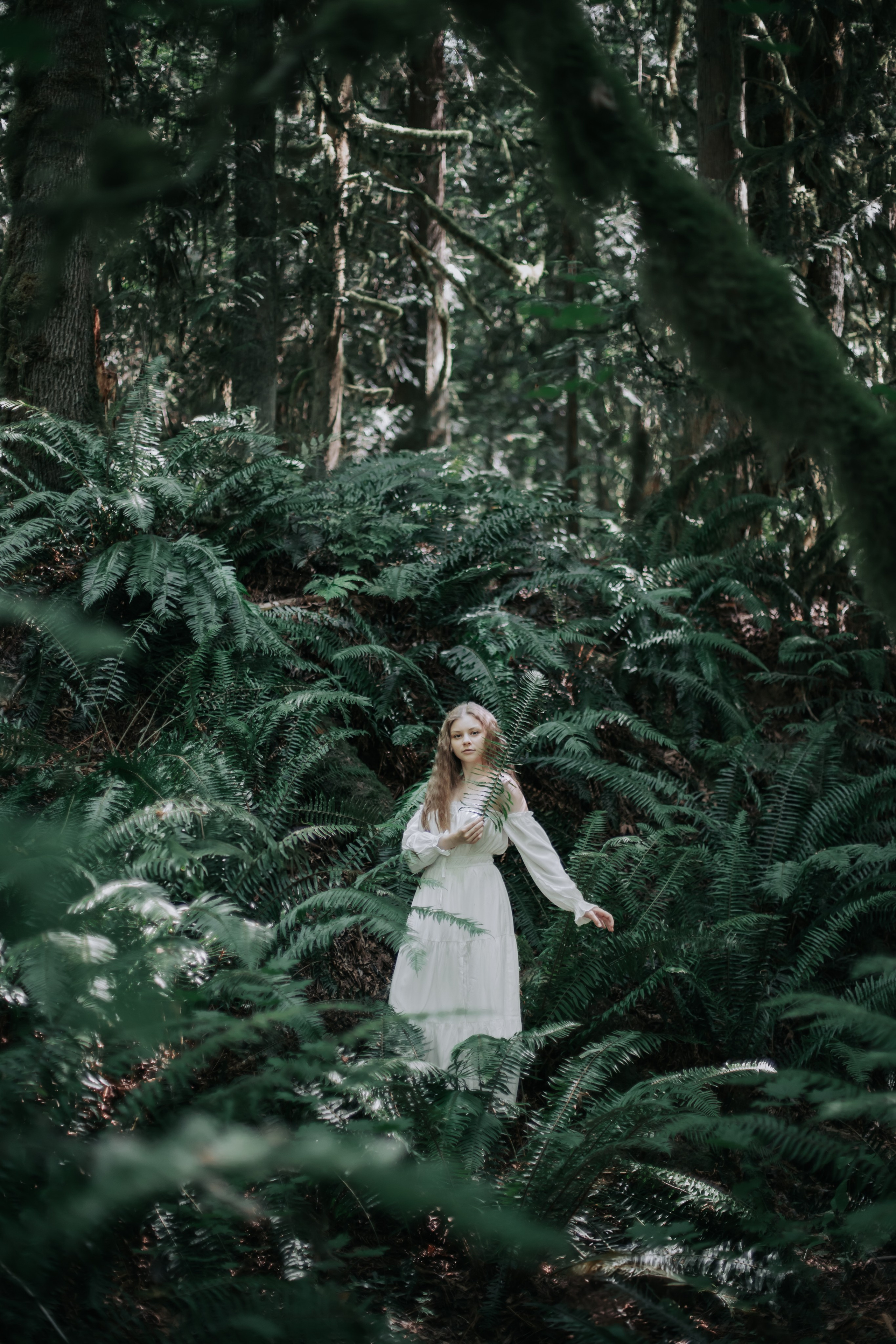 Washington. AnnVish photographer