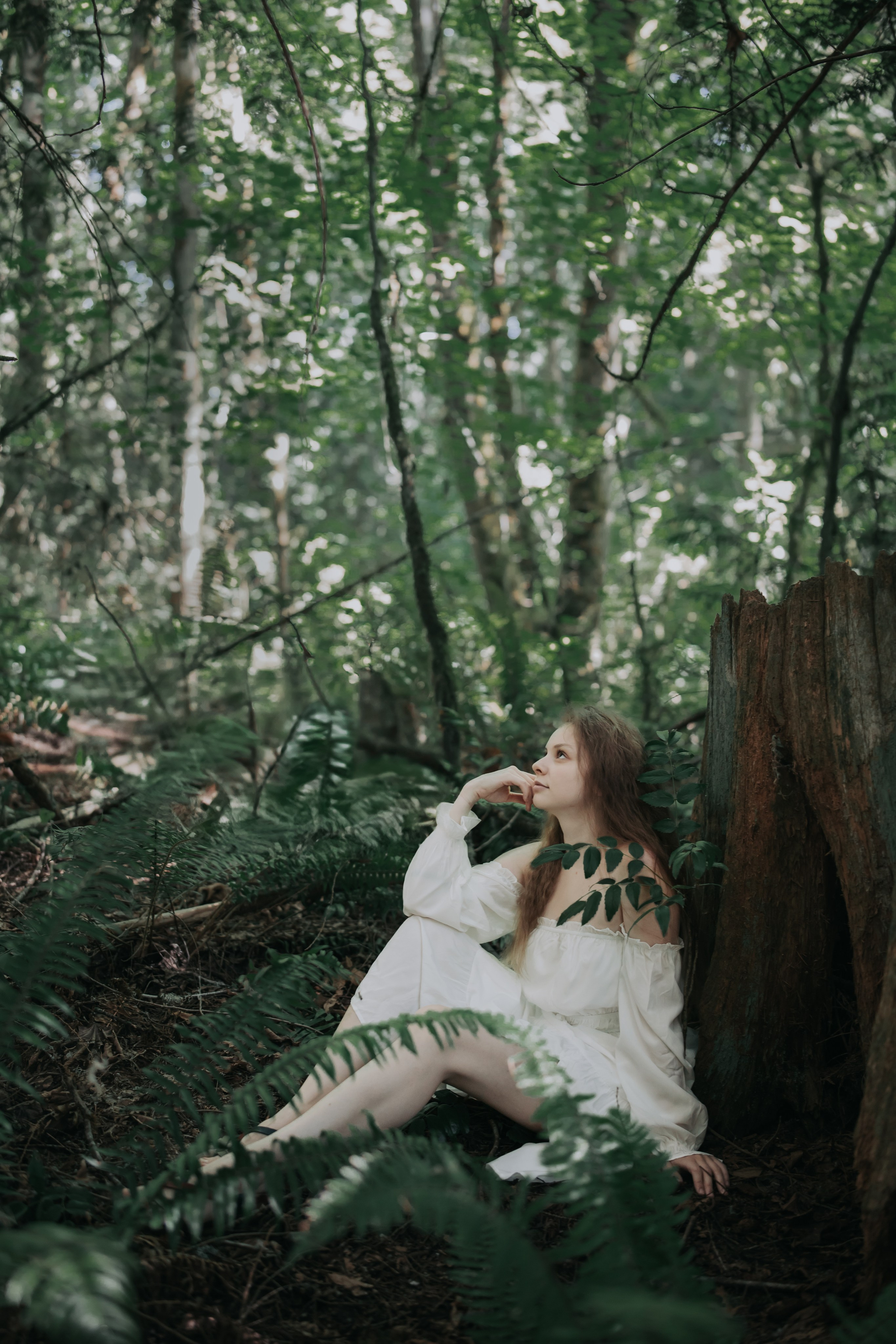 Washington. AnnVish photographer