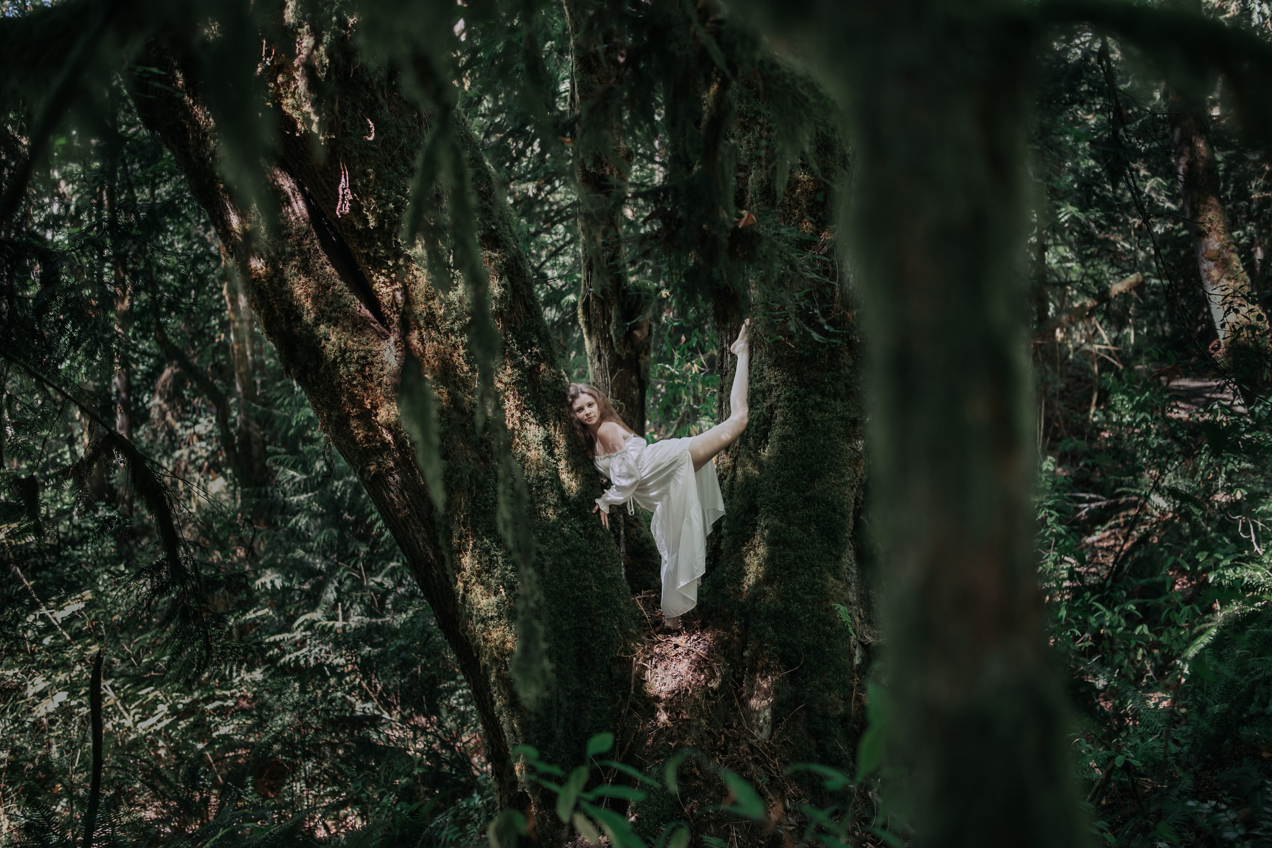 Washington. AnnVish photographer