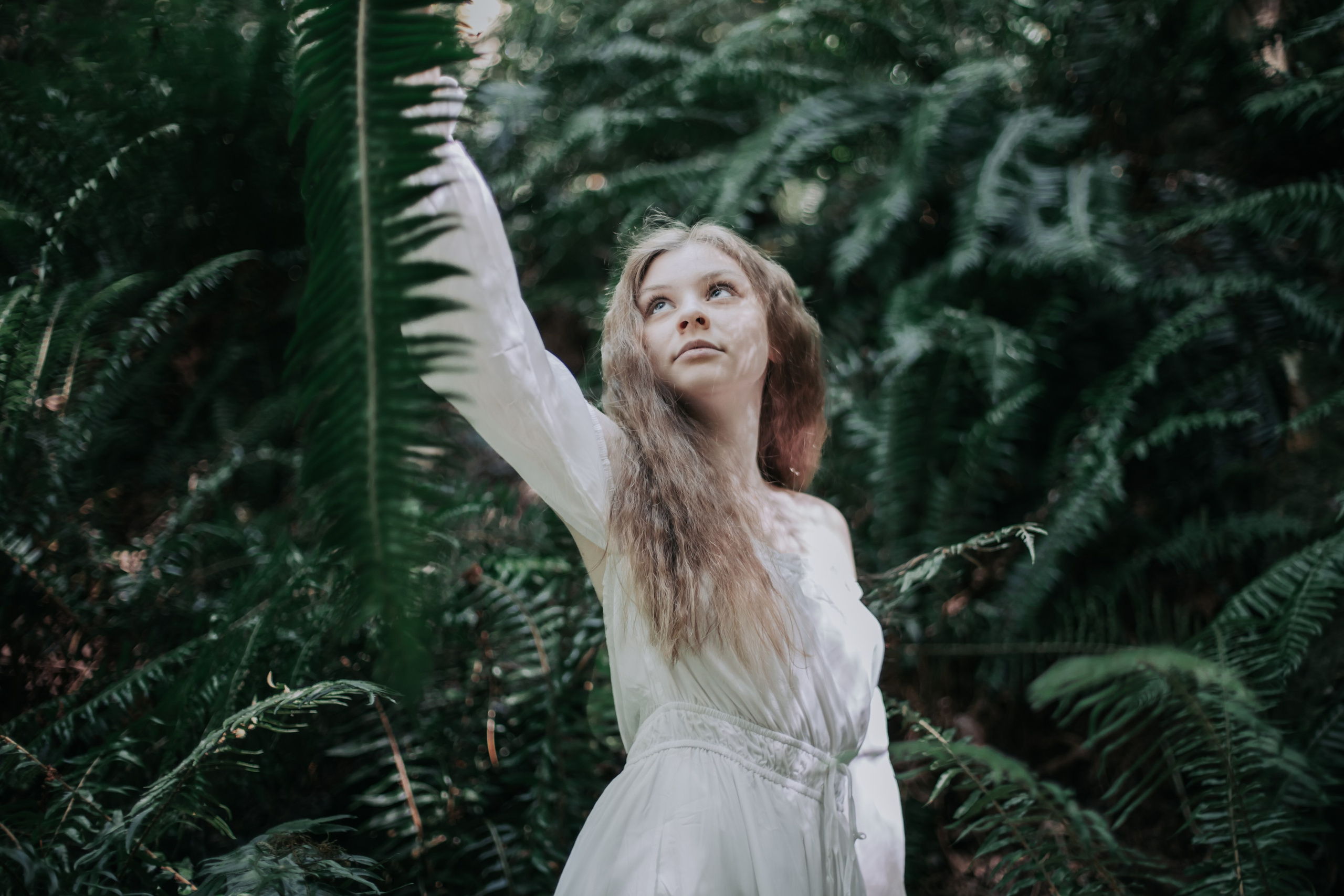 Washington. AnnVish photographer