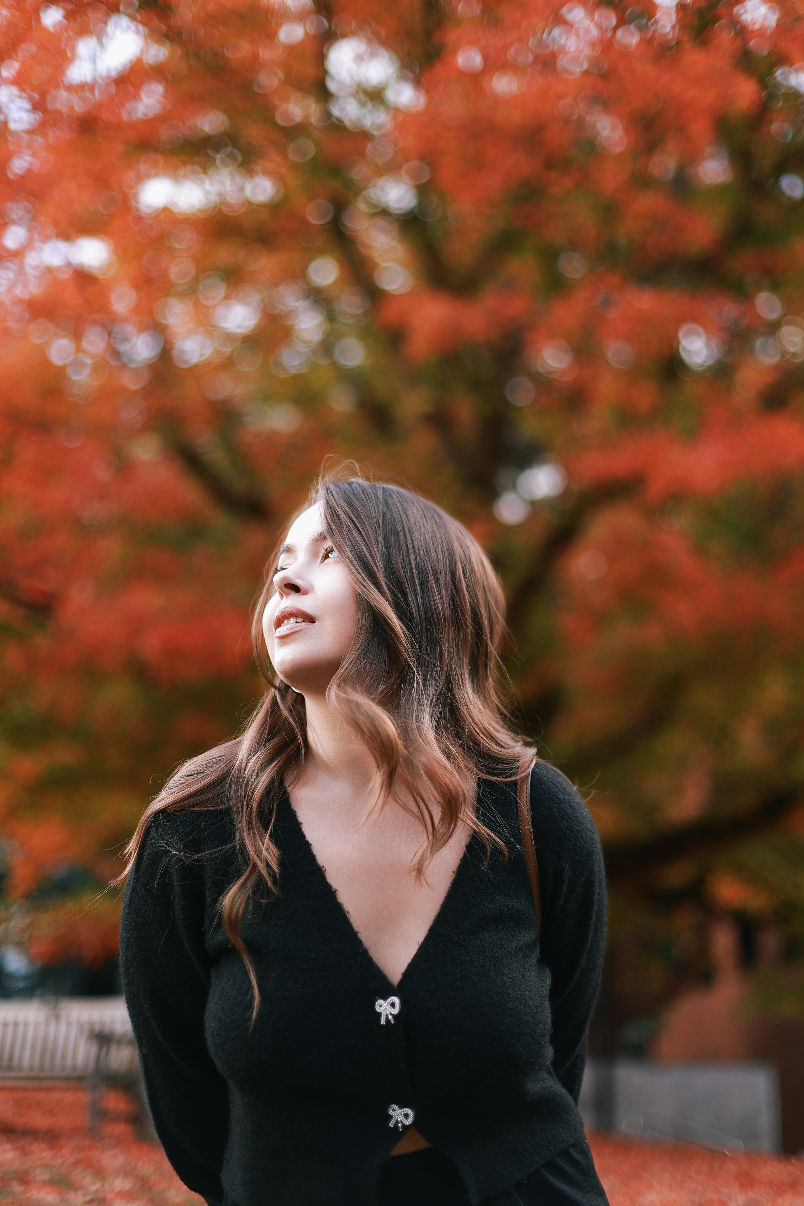 Washington University walk. AnnVish photographer