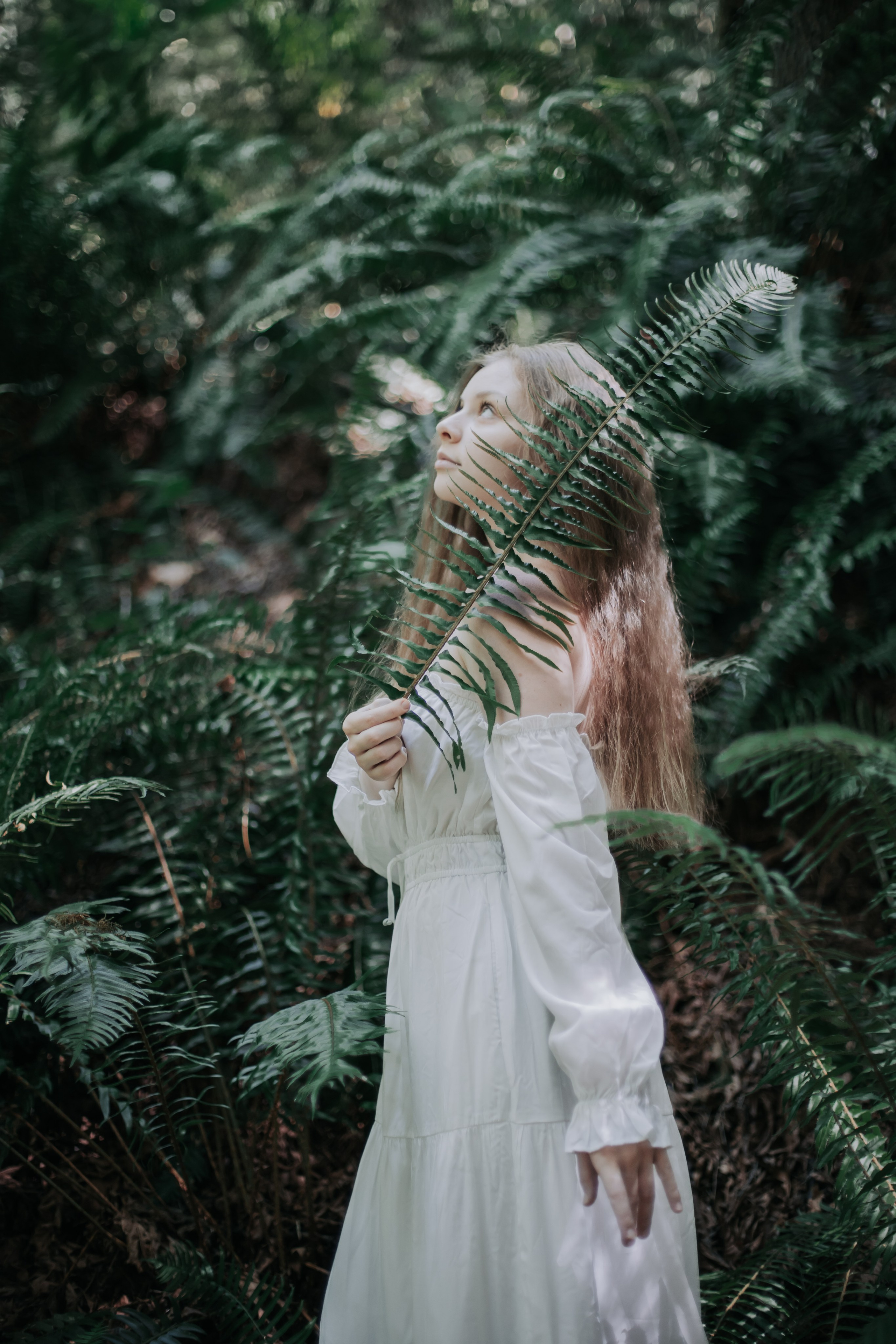 Washington. AnnVish photographer