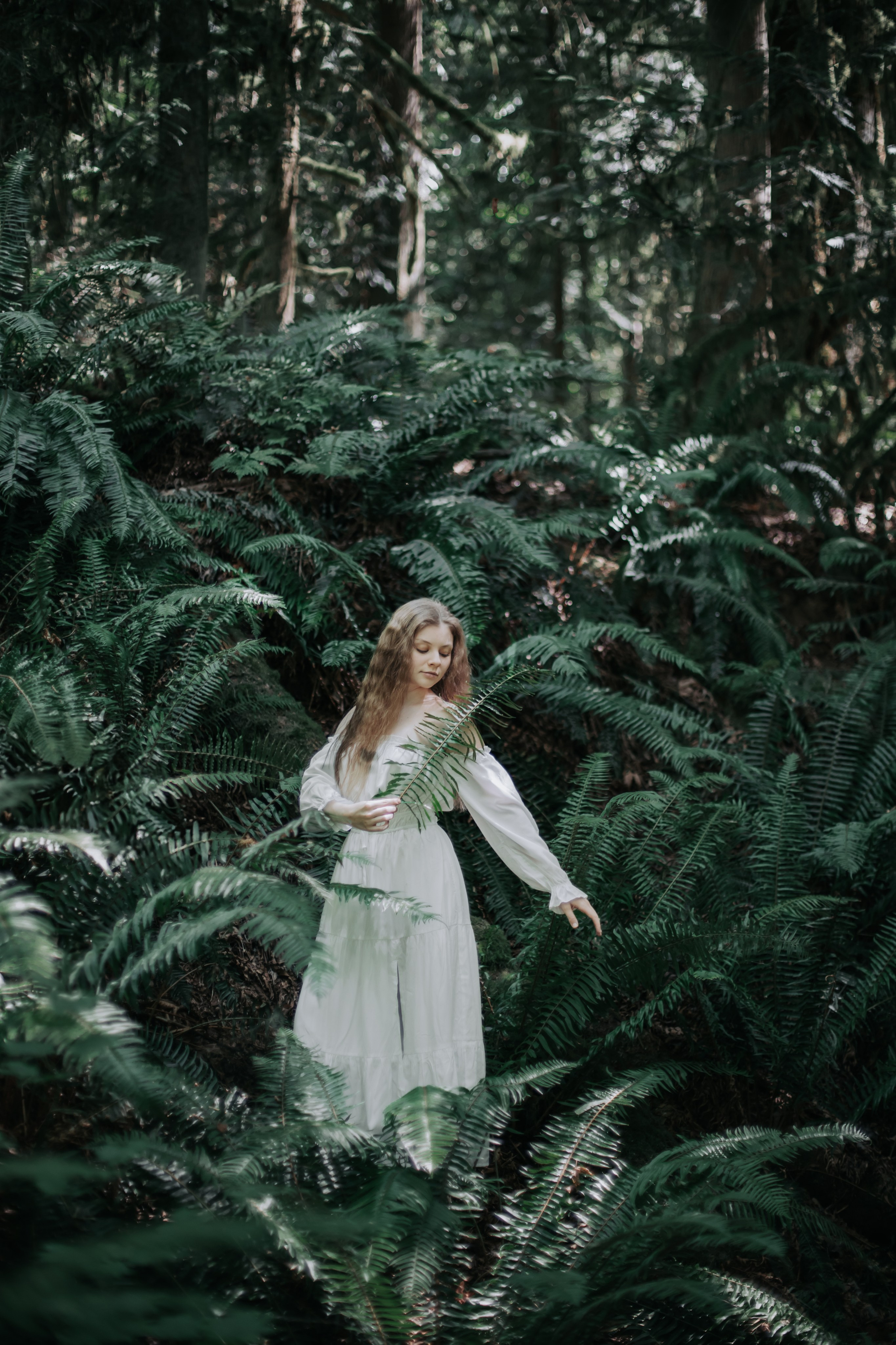 Washington. AnnVish photographer