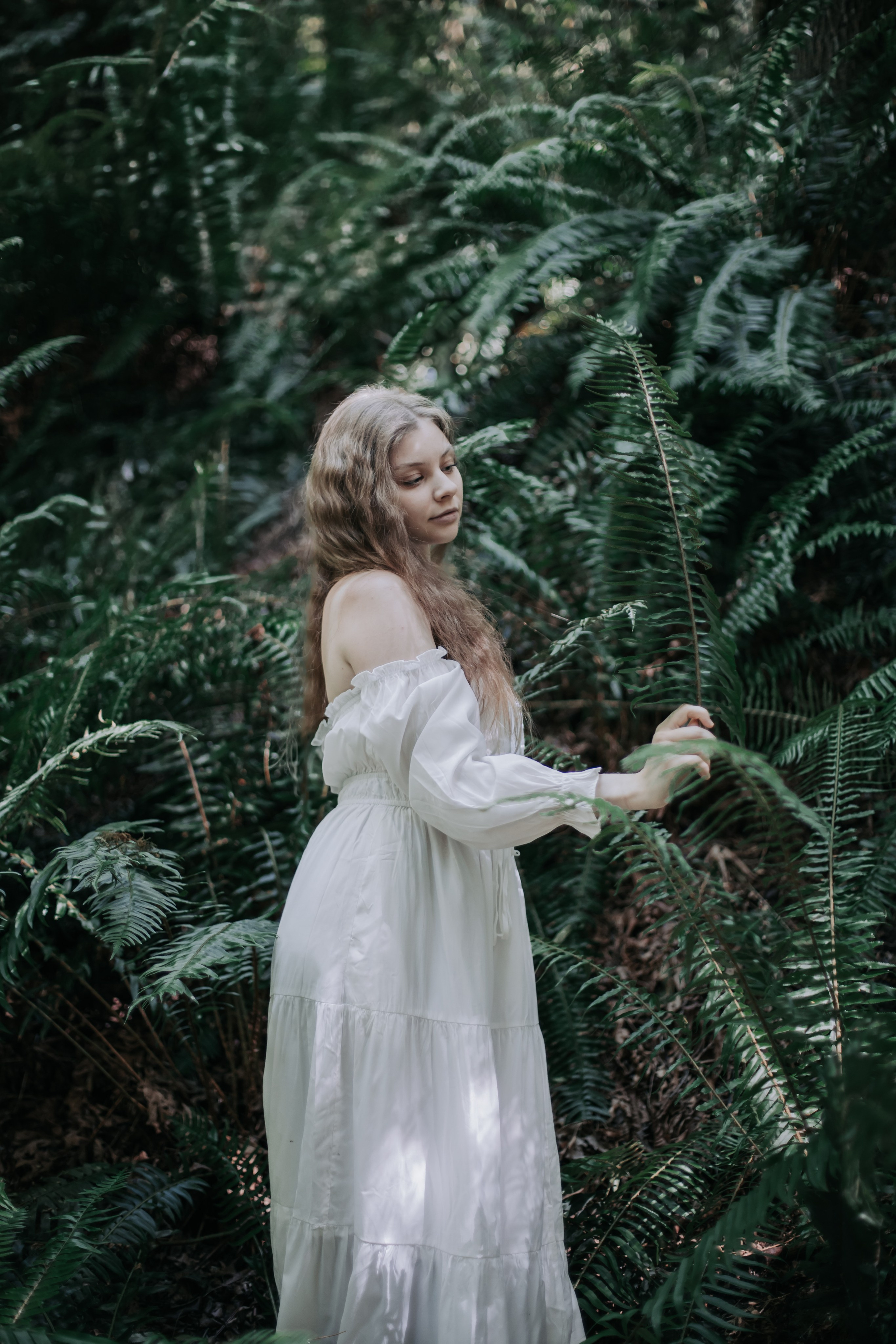 Washington. AnnVish photographer