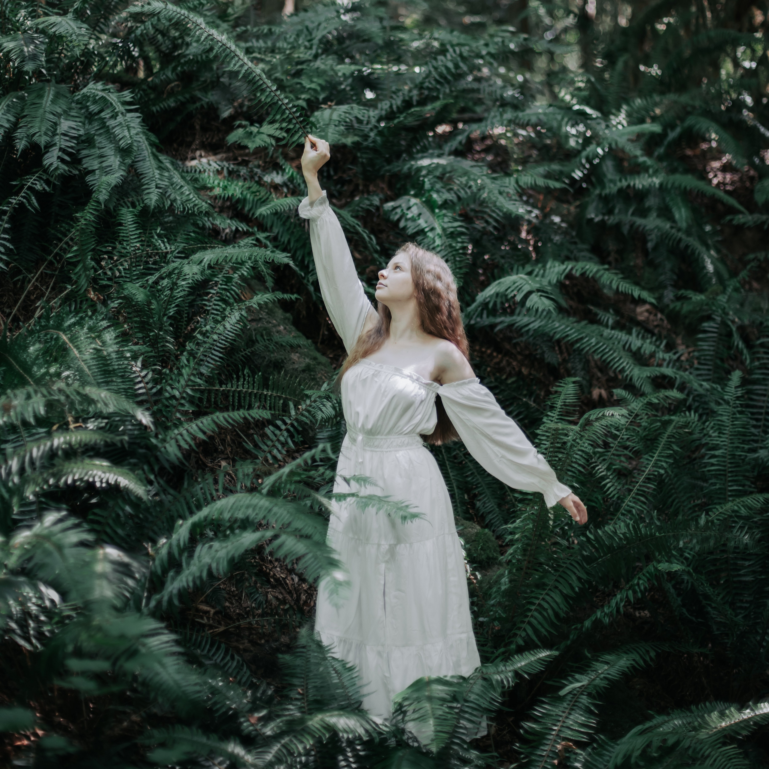 Washington. AnnVish photographer