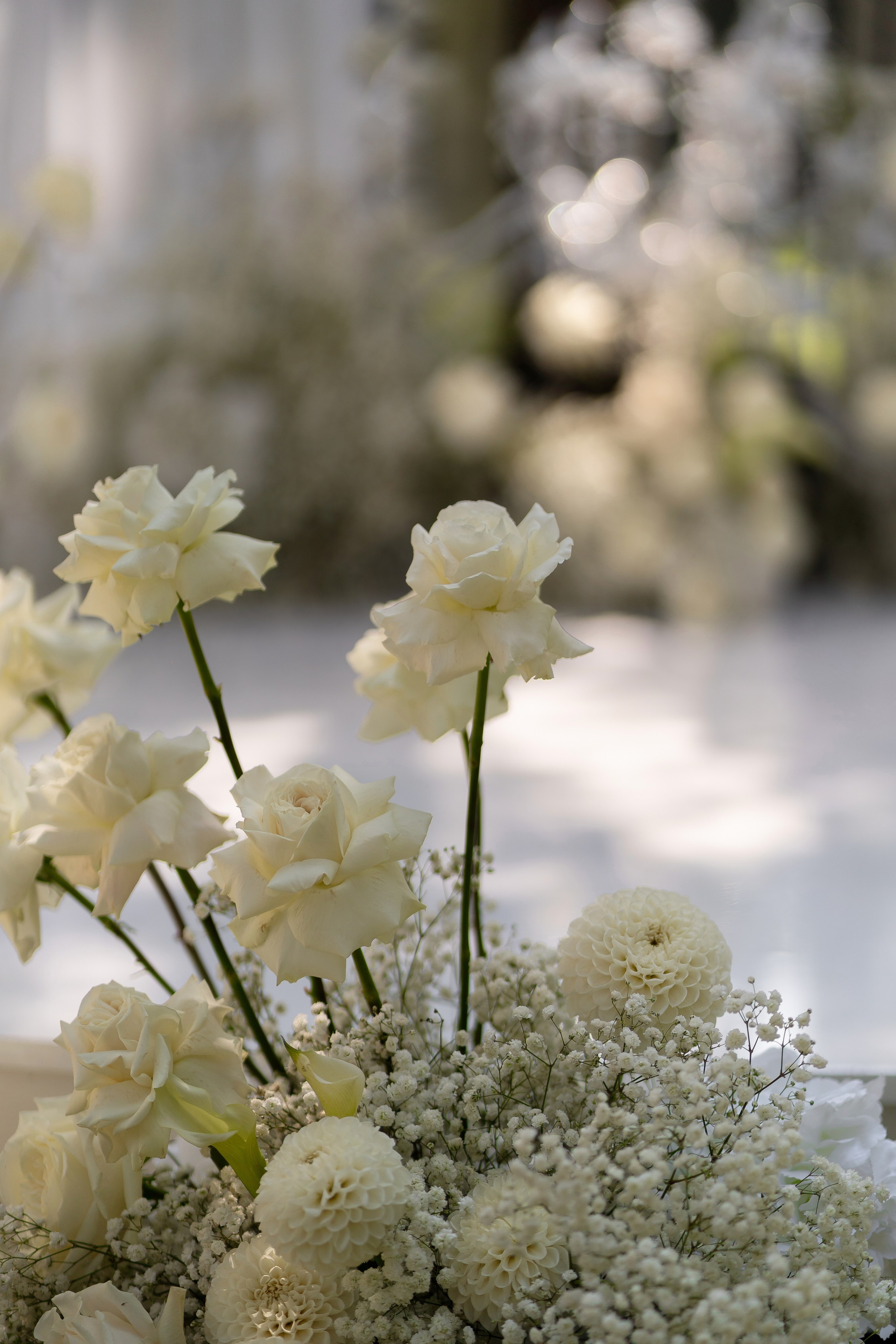 Анастасія & Олексій. Весільний фотограф Львів Софія Крайник