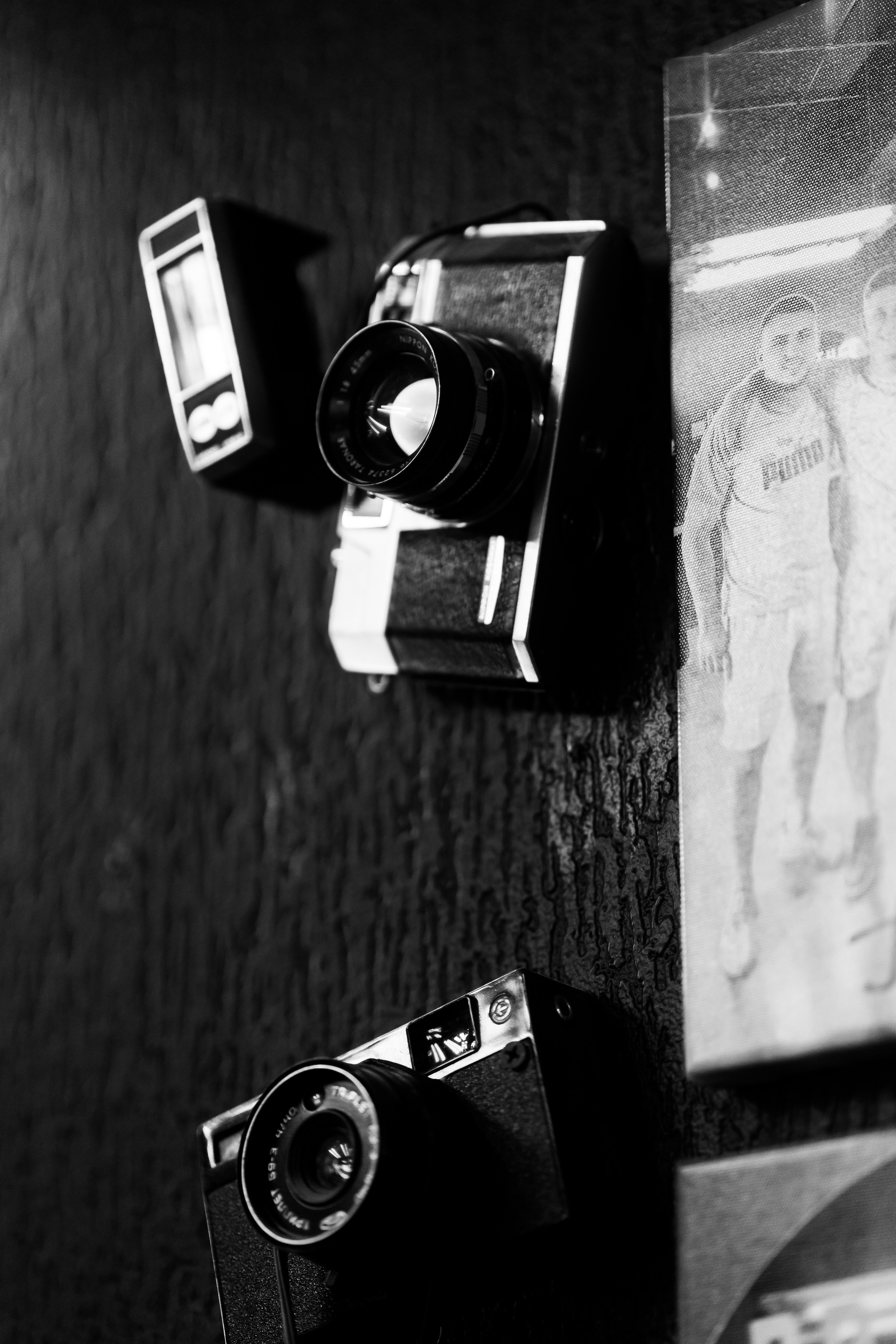 Віталій & Ліліана. Весільний фотограф Львів Софія Крайник