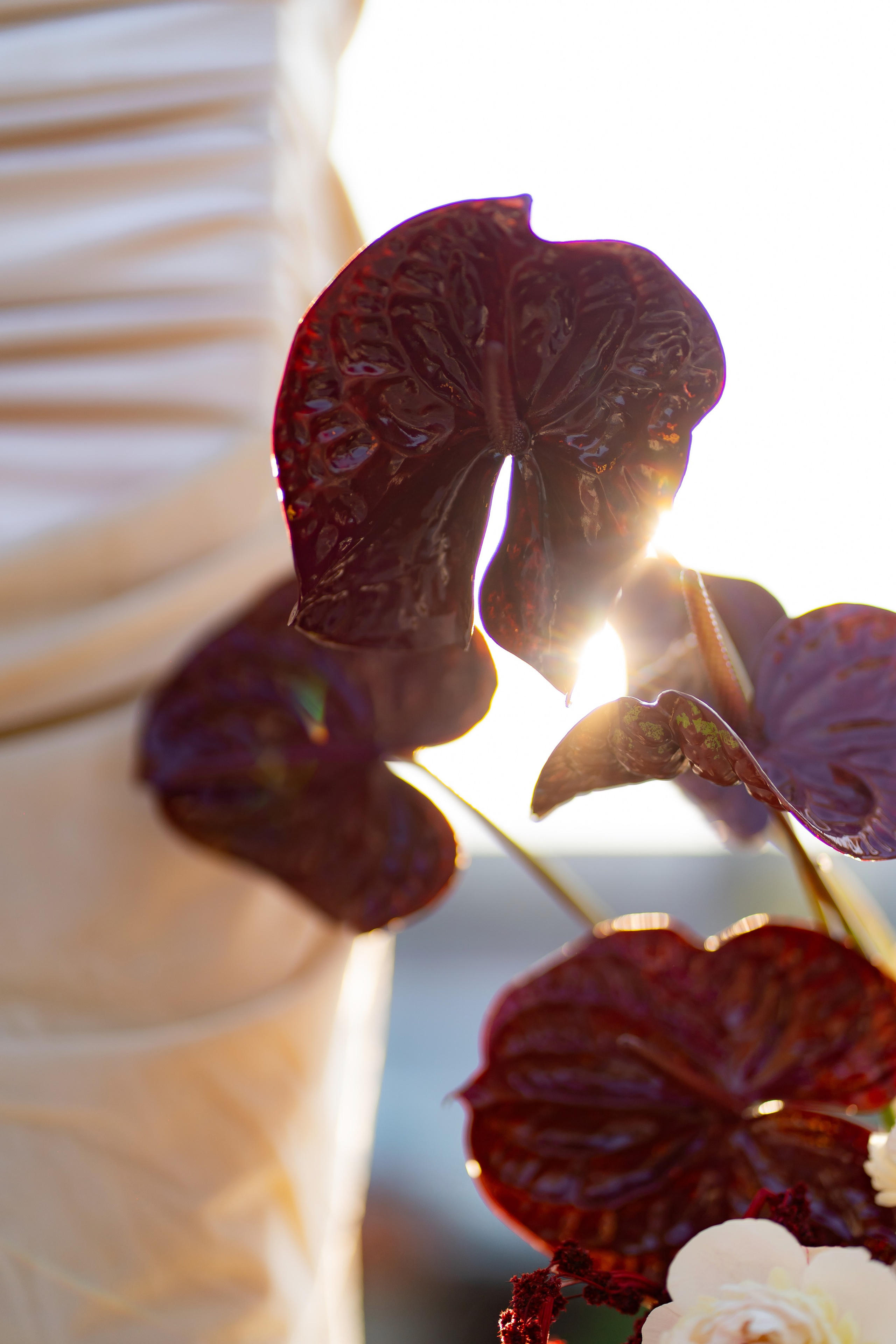 Ірина & Назар. Весільний фотограф Львів Софія Крайник