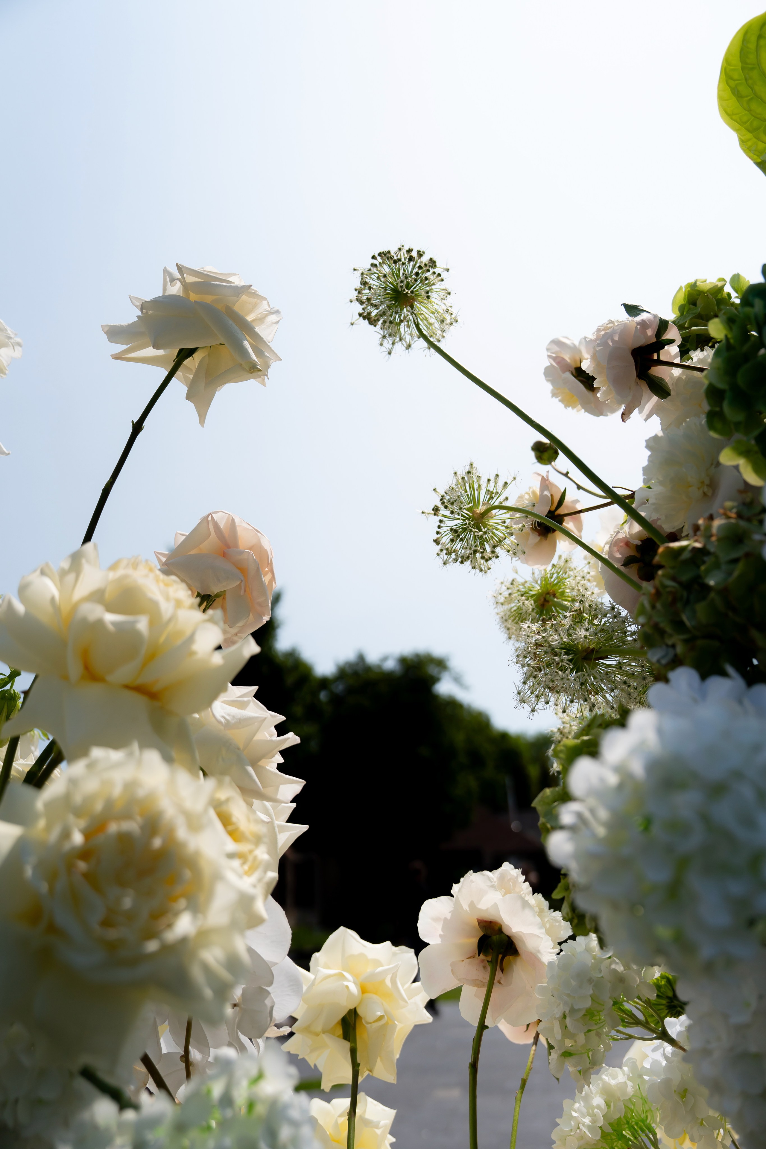 Дарина Микола. Весільний фотограф Львів Софія Крайник
