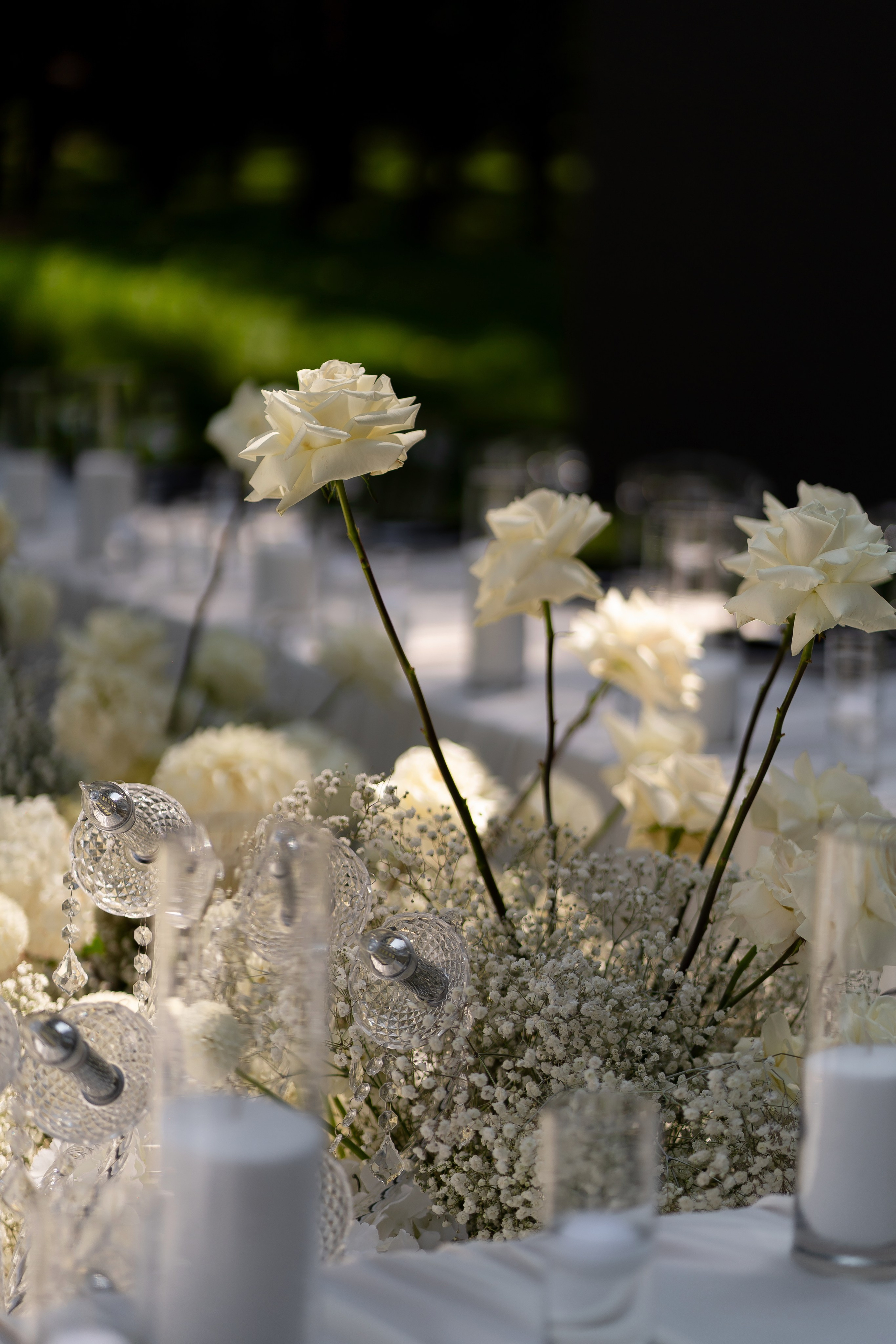 Анастасія & Олексій. Весільний фотограф Львів Софія Крайник