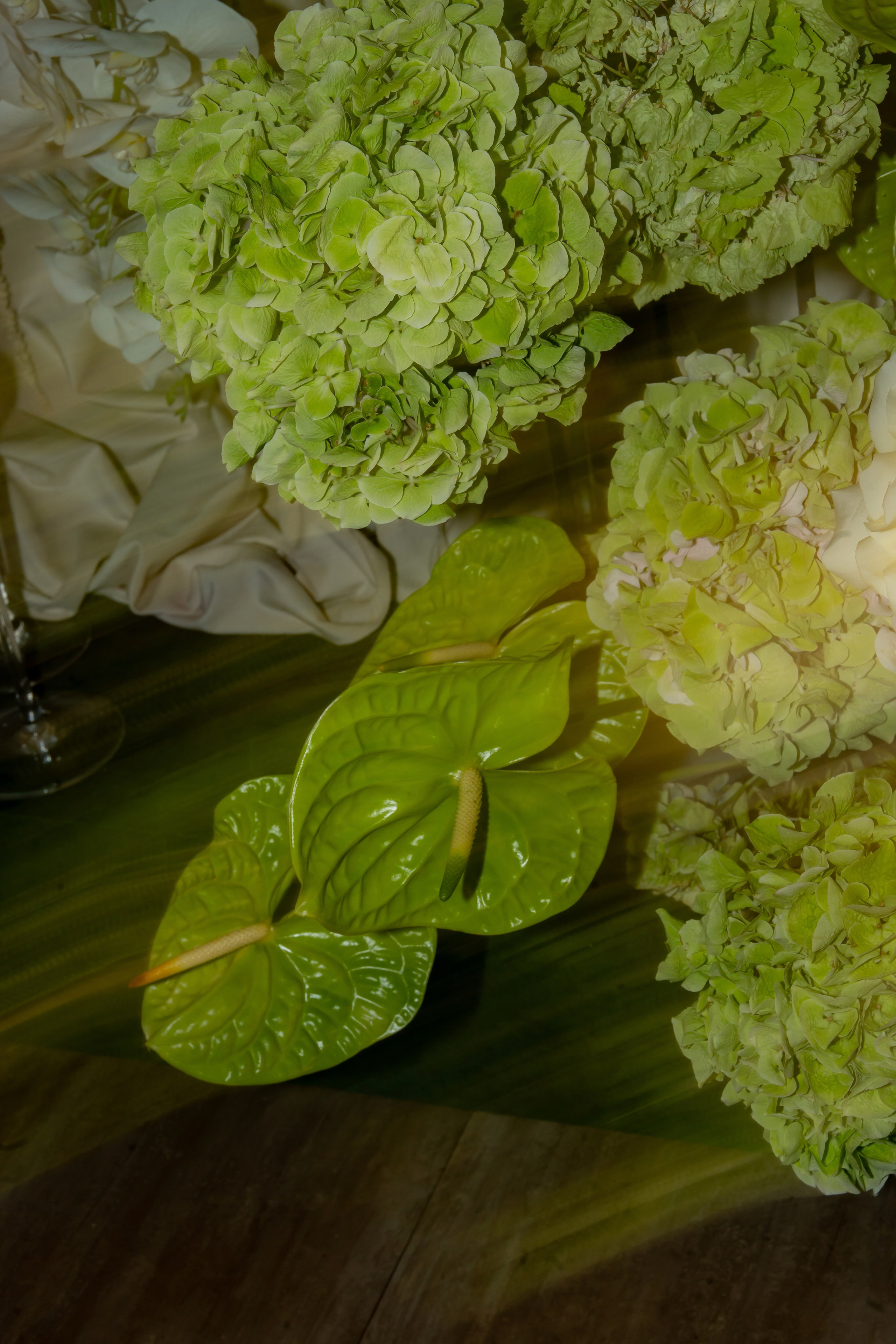 Дарина Микола. Весільний фотограф Львів Софія Крайник