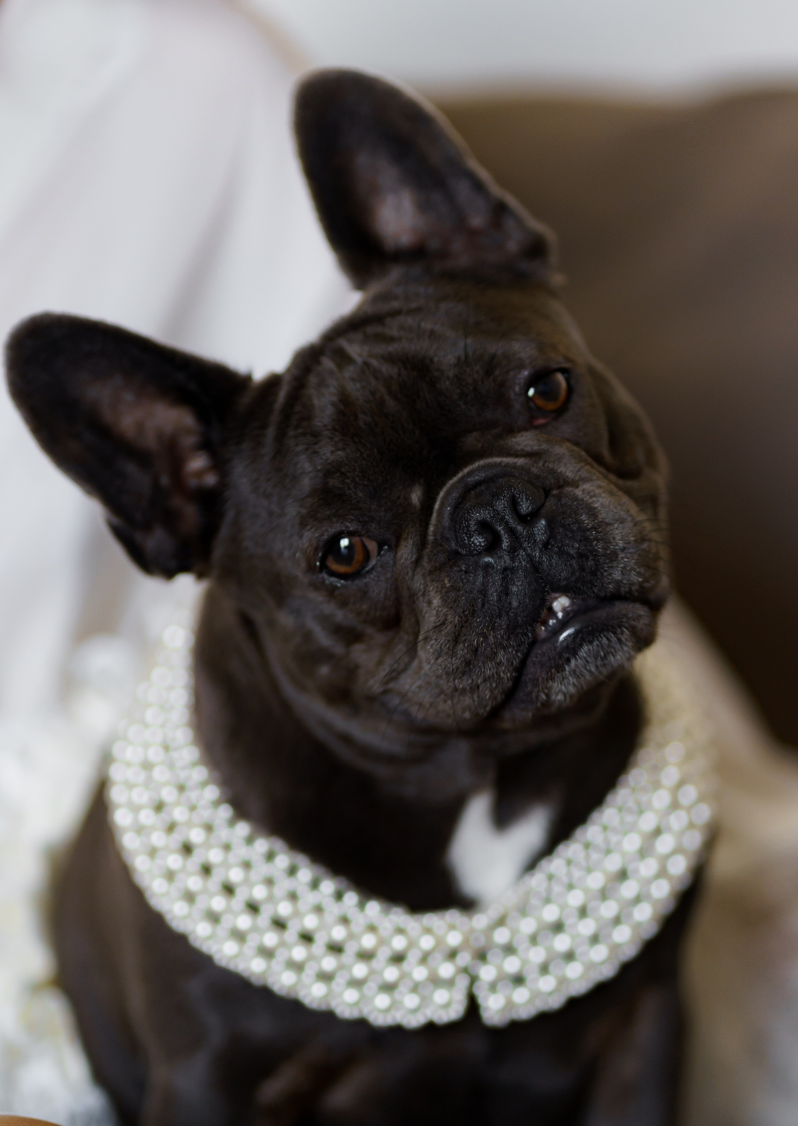 Віталій & Ліліана. Весільний фотограф Львів Софія Крайник