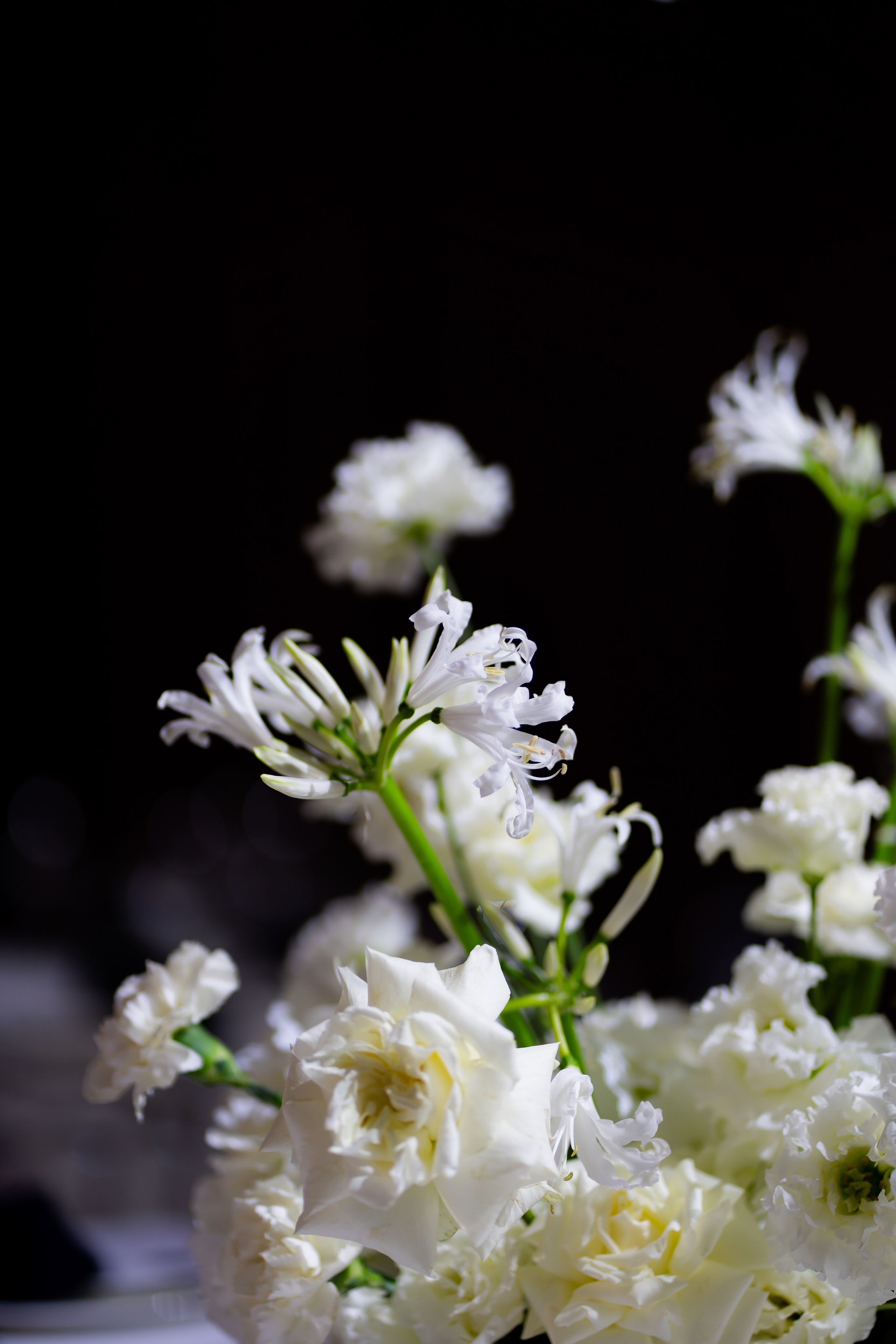 Ю&А. Весільний фотограф Львів Софія Крайник