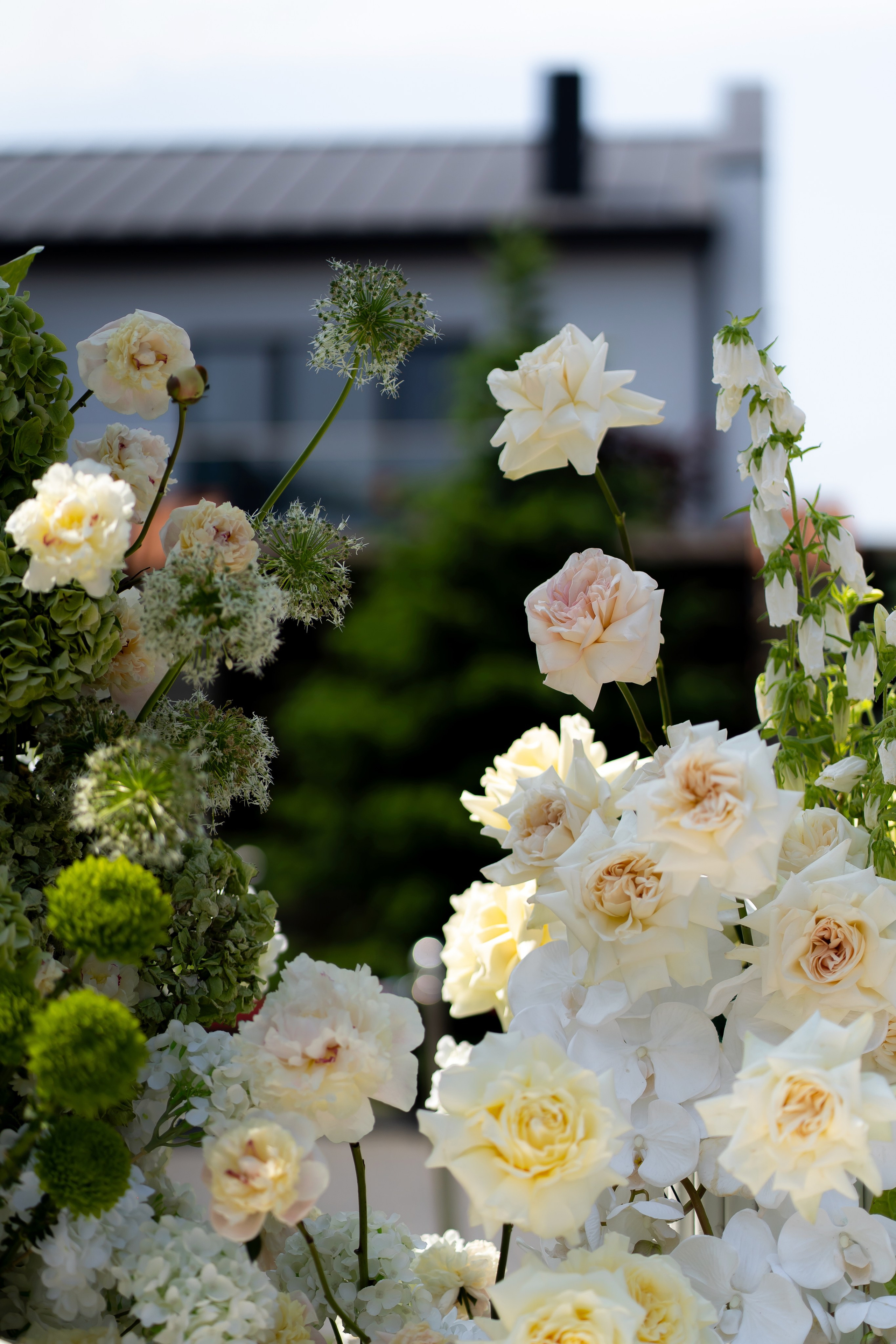 Дарина Микола. Весільний фотограф Львів Софія Крайник