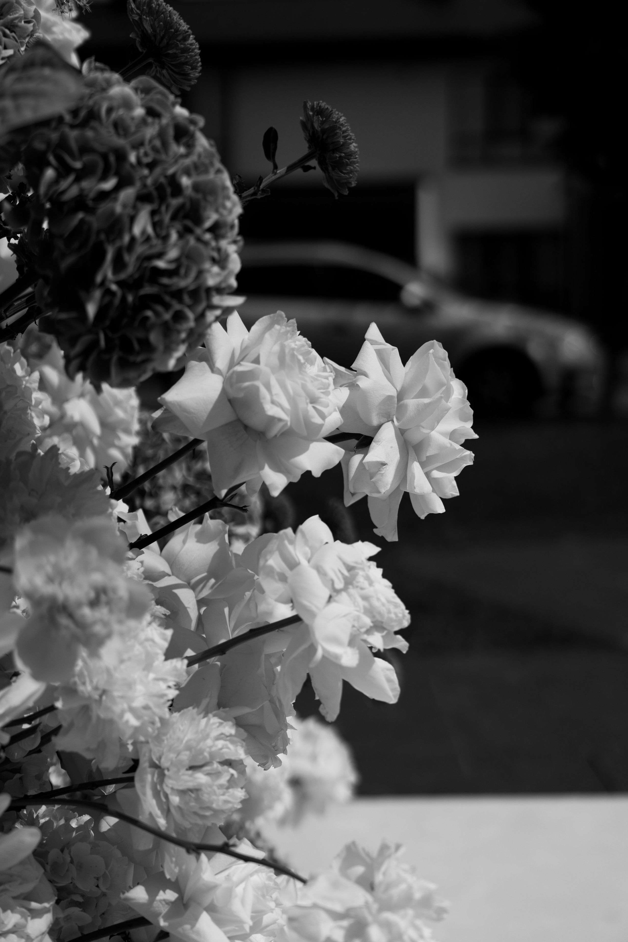 Дарина Микола. Весільний фотограф Львів Софія Крайник