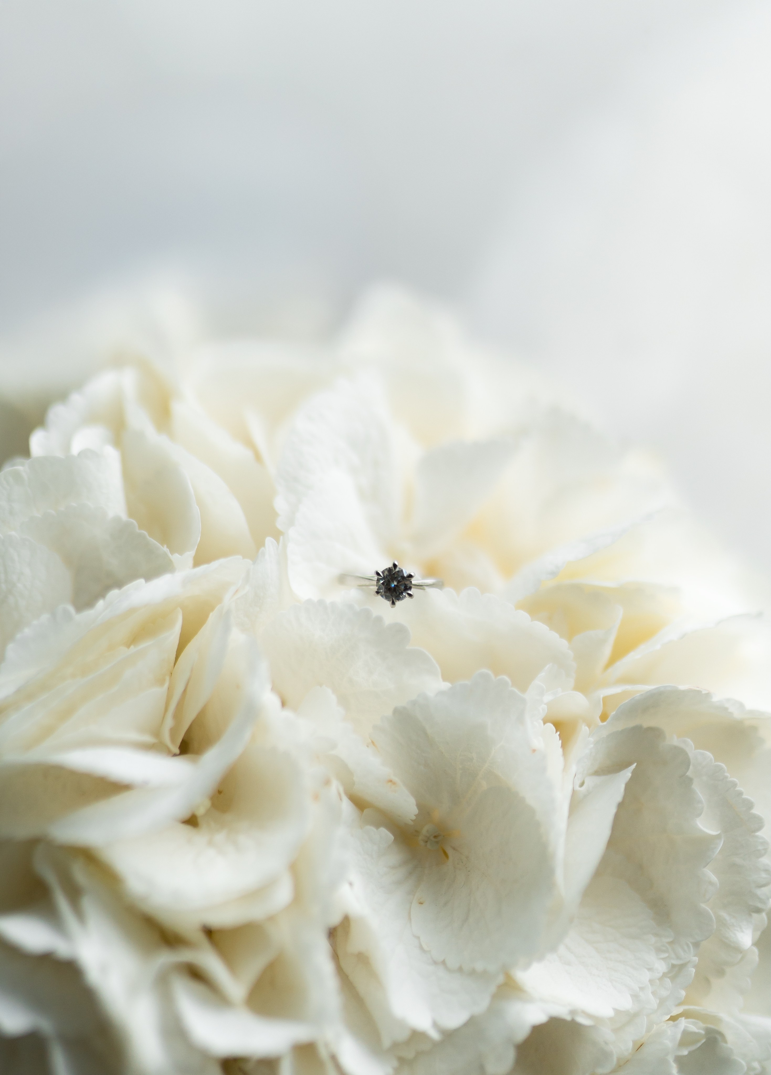 Анонс Ангеліна & Роман. Весільний фотограф Львів Софія Крайник