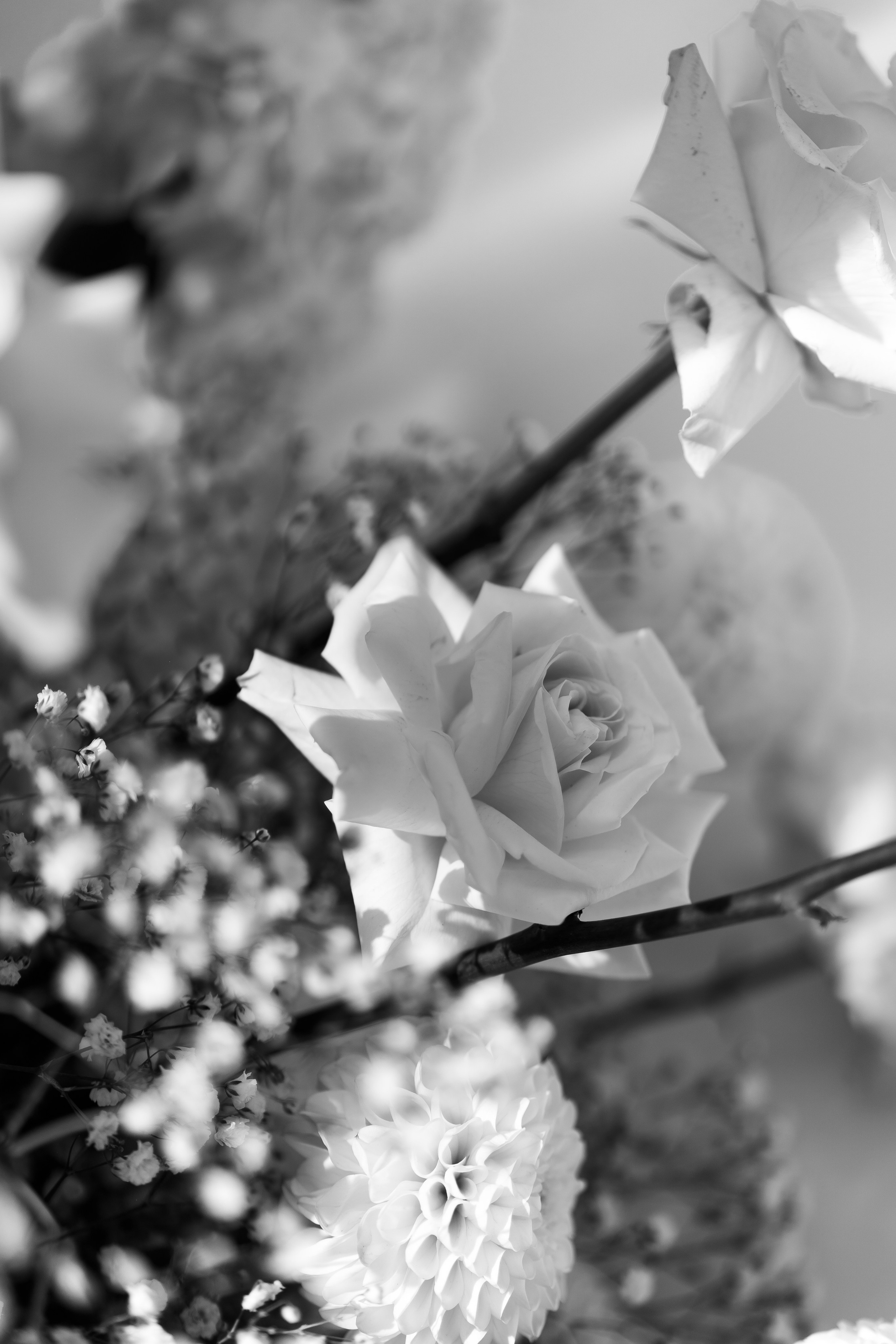 Анастасія & Олексій. Весільний фотограф Львів Софія Крайник