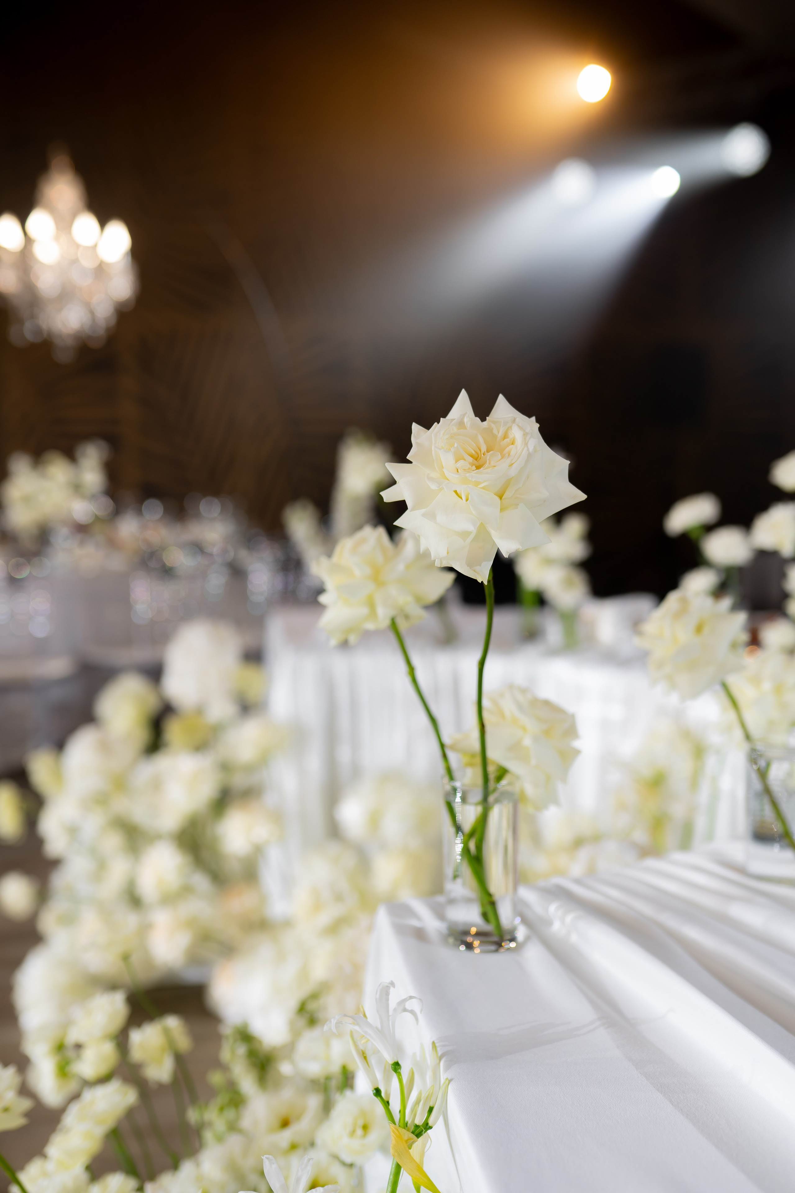 Ю&А. Весільний фотограф Львів Софія Крайник