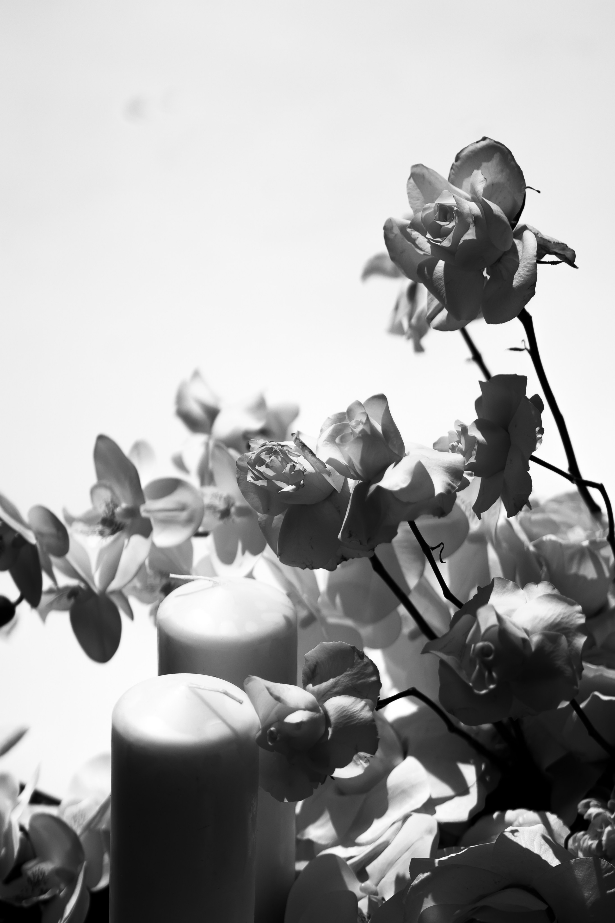 Віталій & Ліліана. Весільний фотограф Львів Софія Крайник