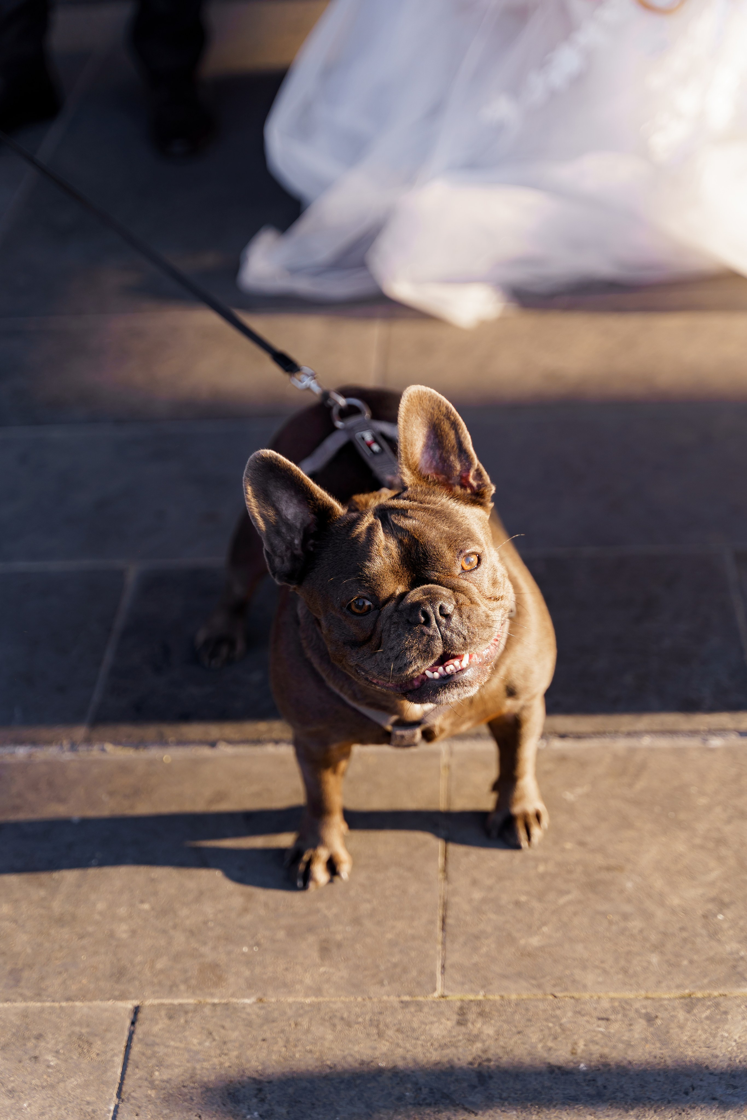 Віталій & Ліліана. Весільний фотограф Львів Софія Крайник