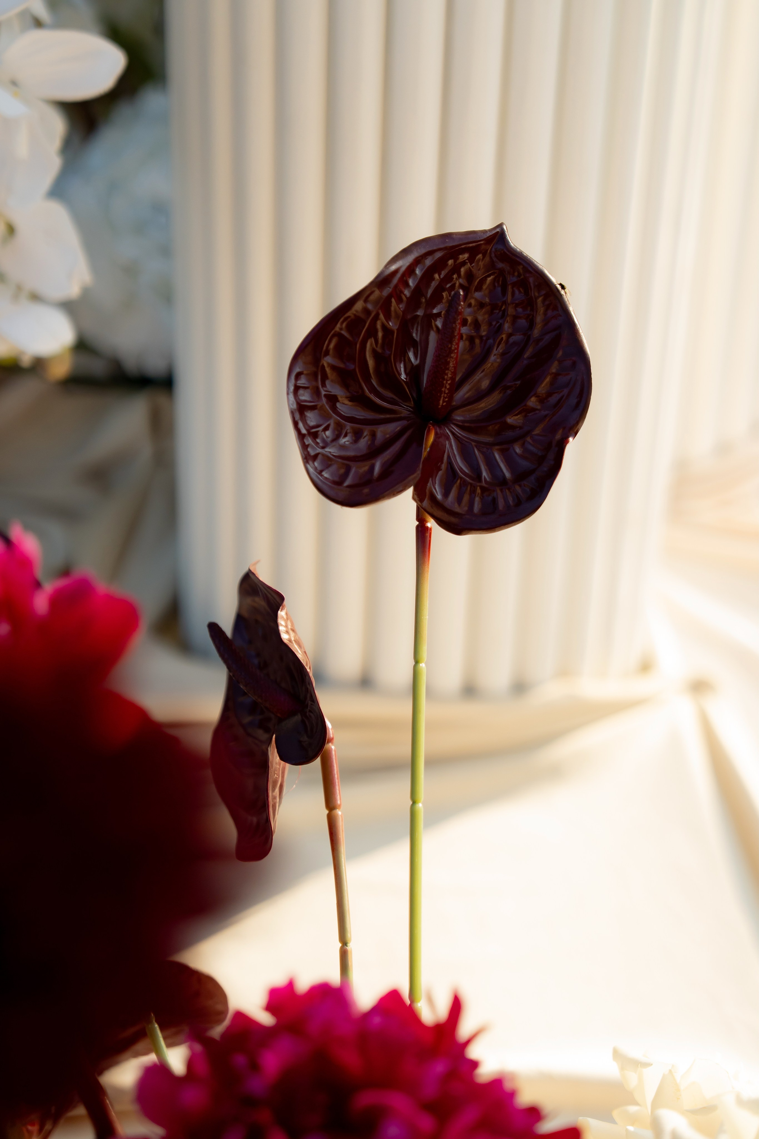 Ірина & Назар. Весільний фотограф Львів Софія Крайник