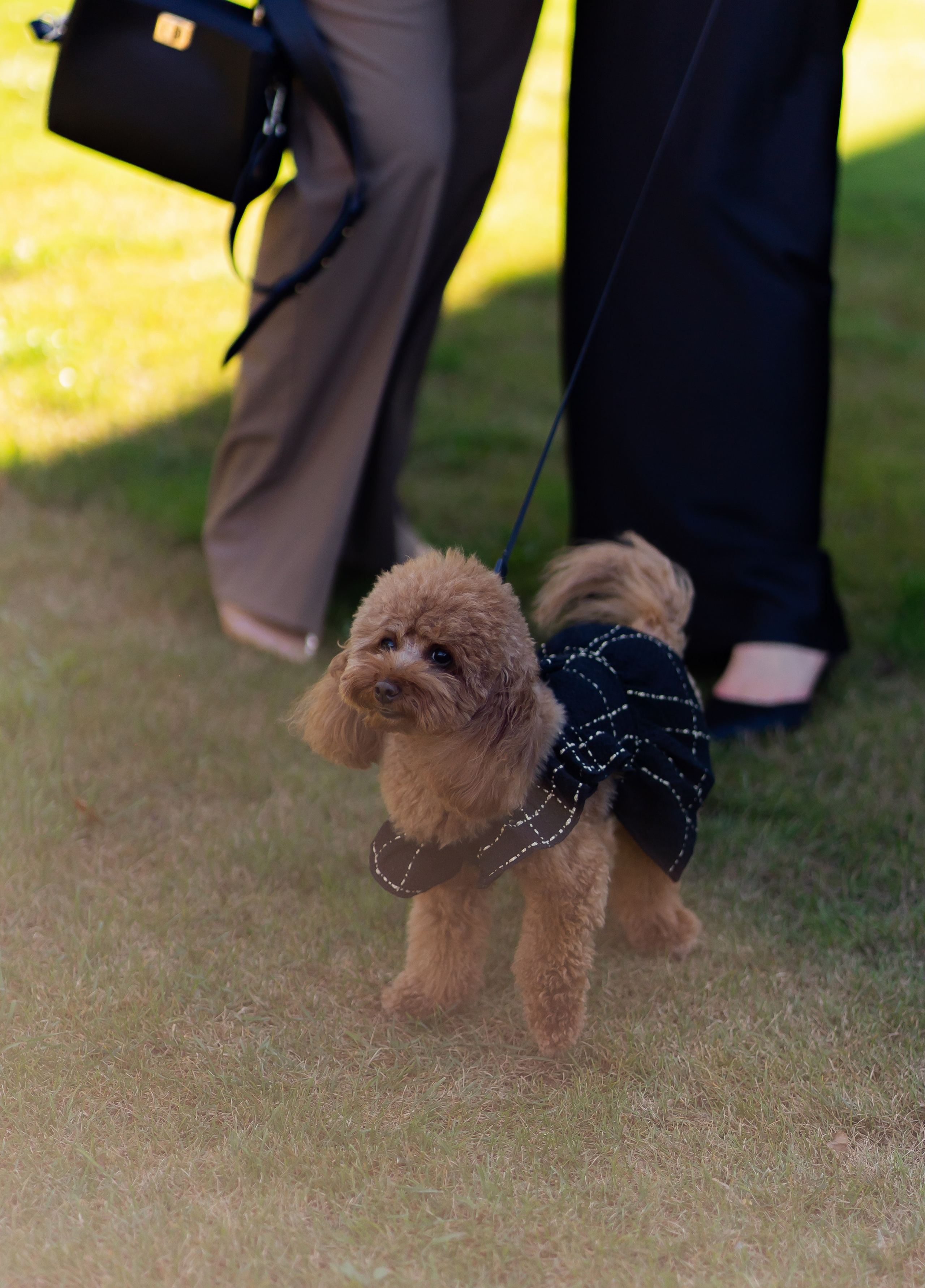 Ю&А. Весільний фотограф Львів Софія Крайник