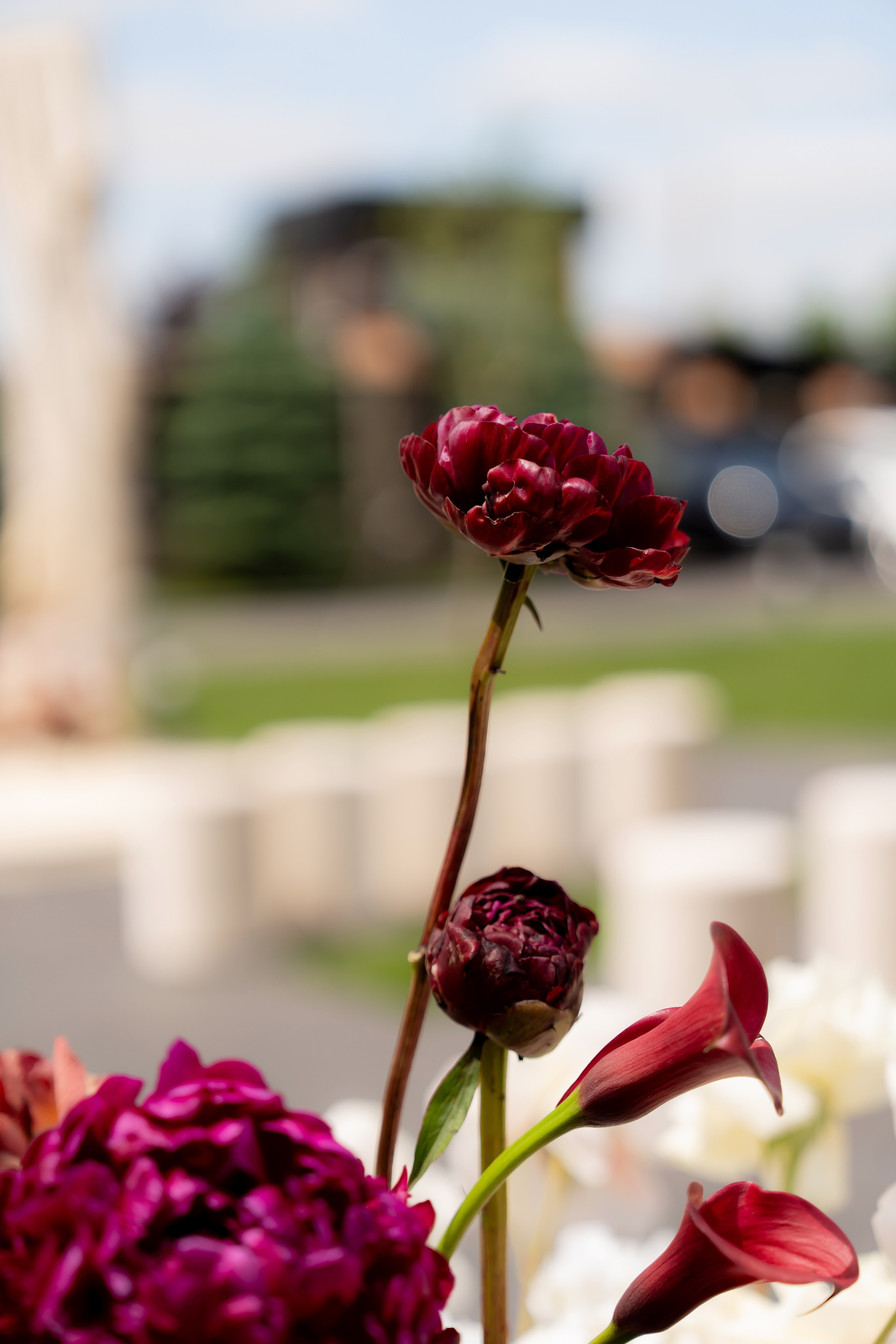 Ірина & Назар. Весільний фотограф Львів Софія Крайник