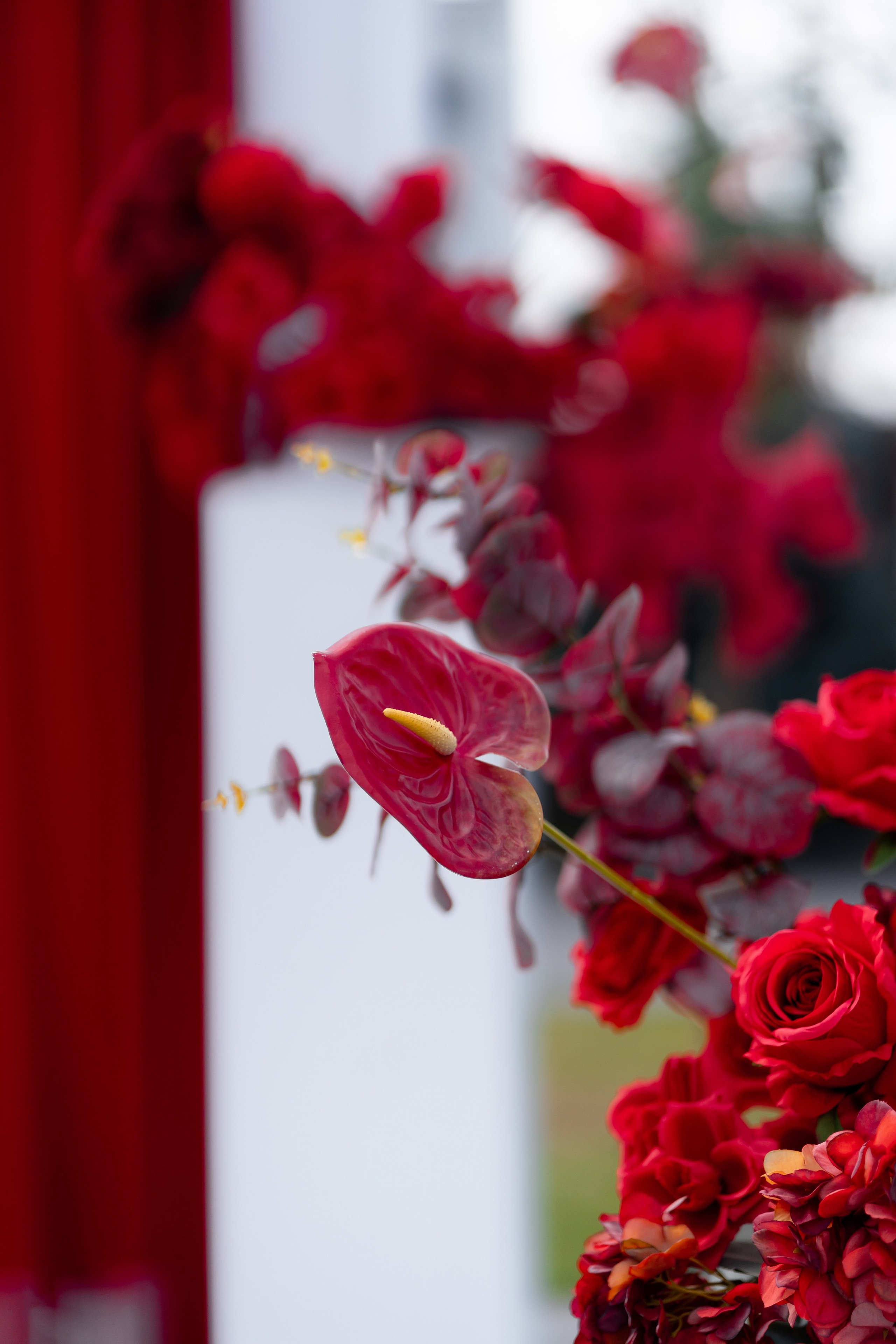 Діма & Анна. Весільний фотограф Львів Софія Крайник