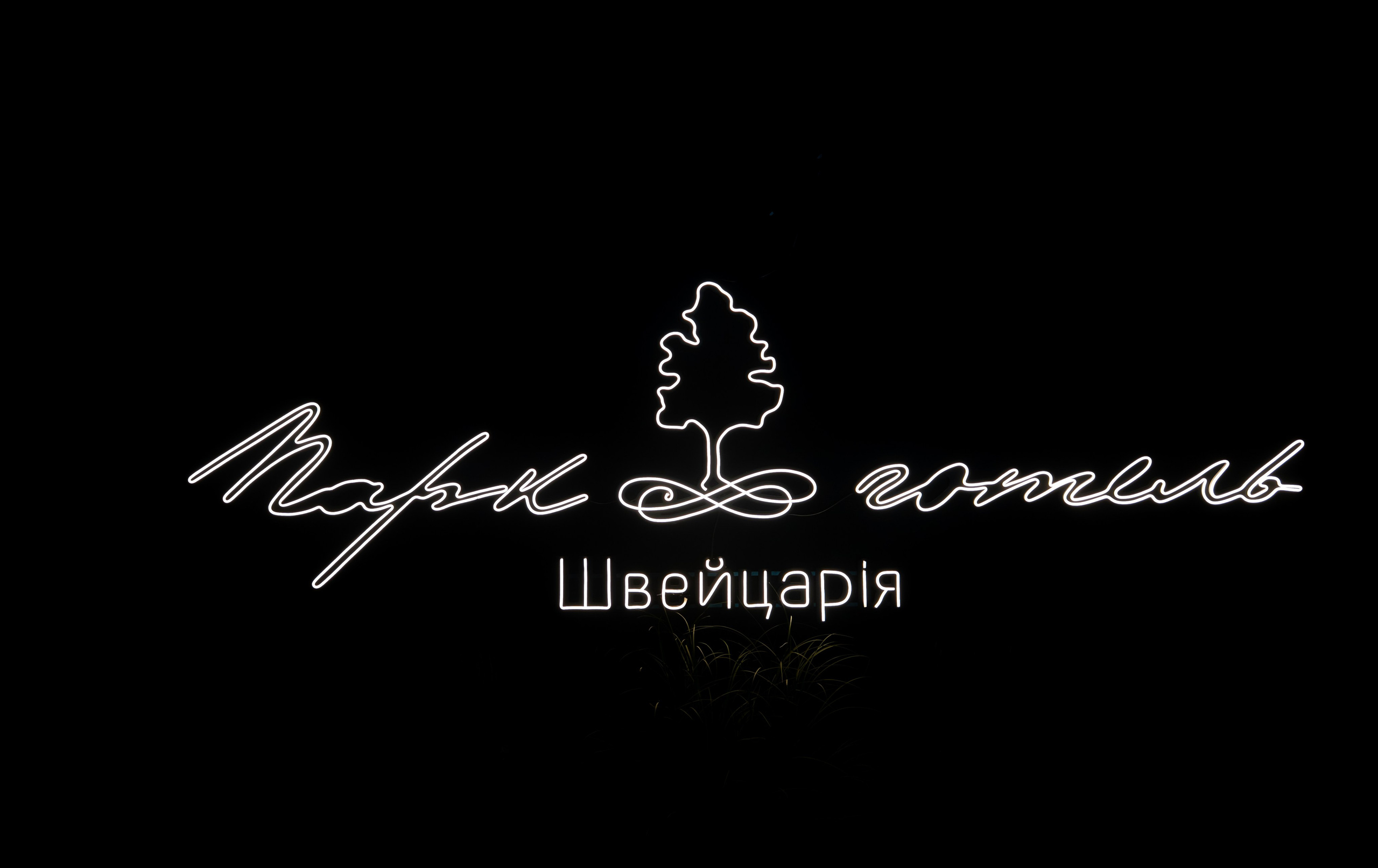 Анастасія & Олексій. Весільний фотограф Львів Софія Крайник