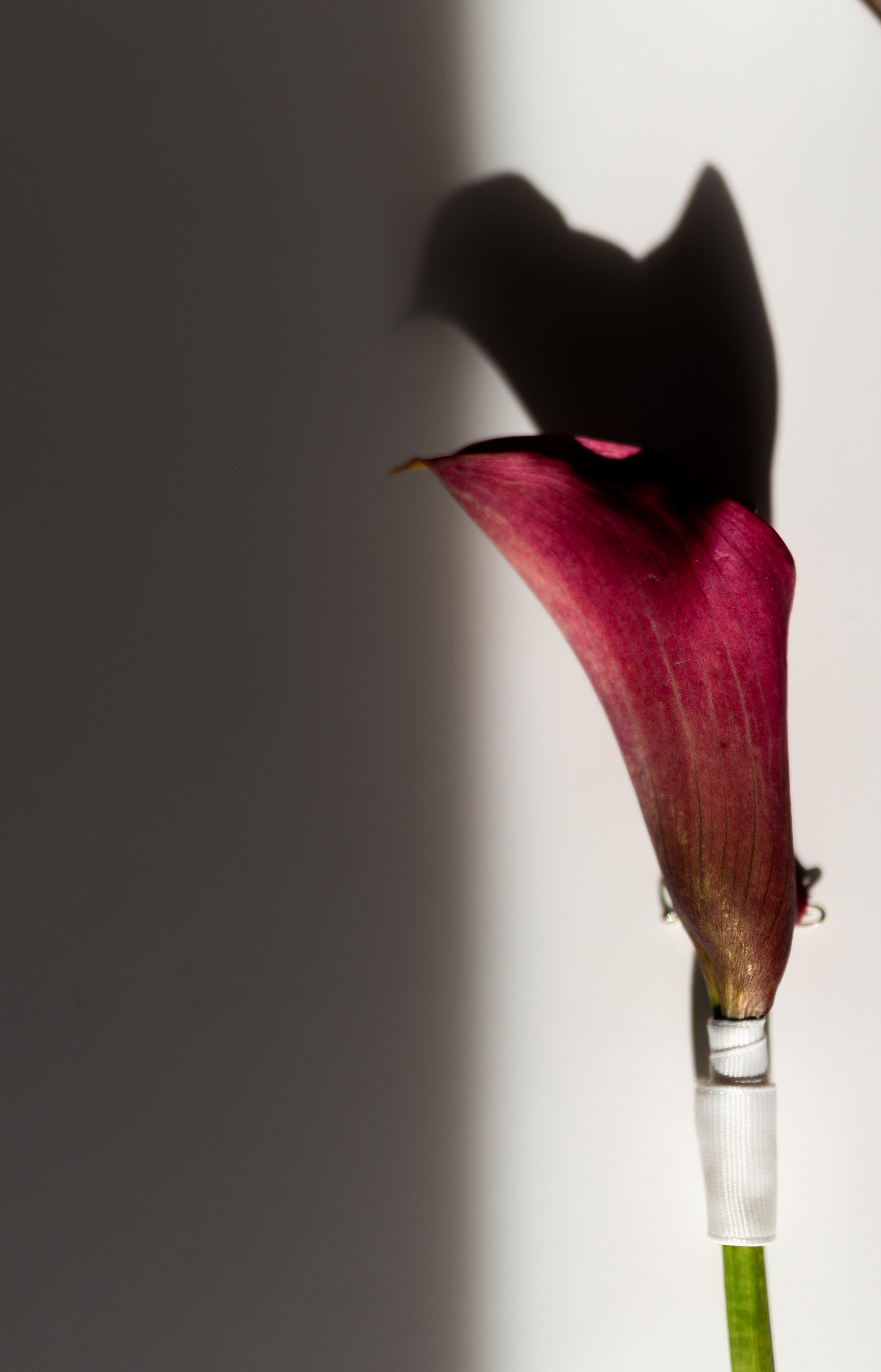 Діма & Анна. Весільний фотограф Львів Софія Крайник