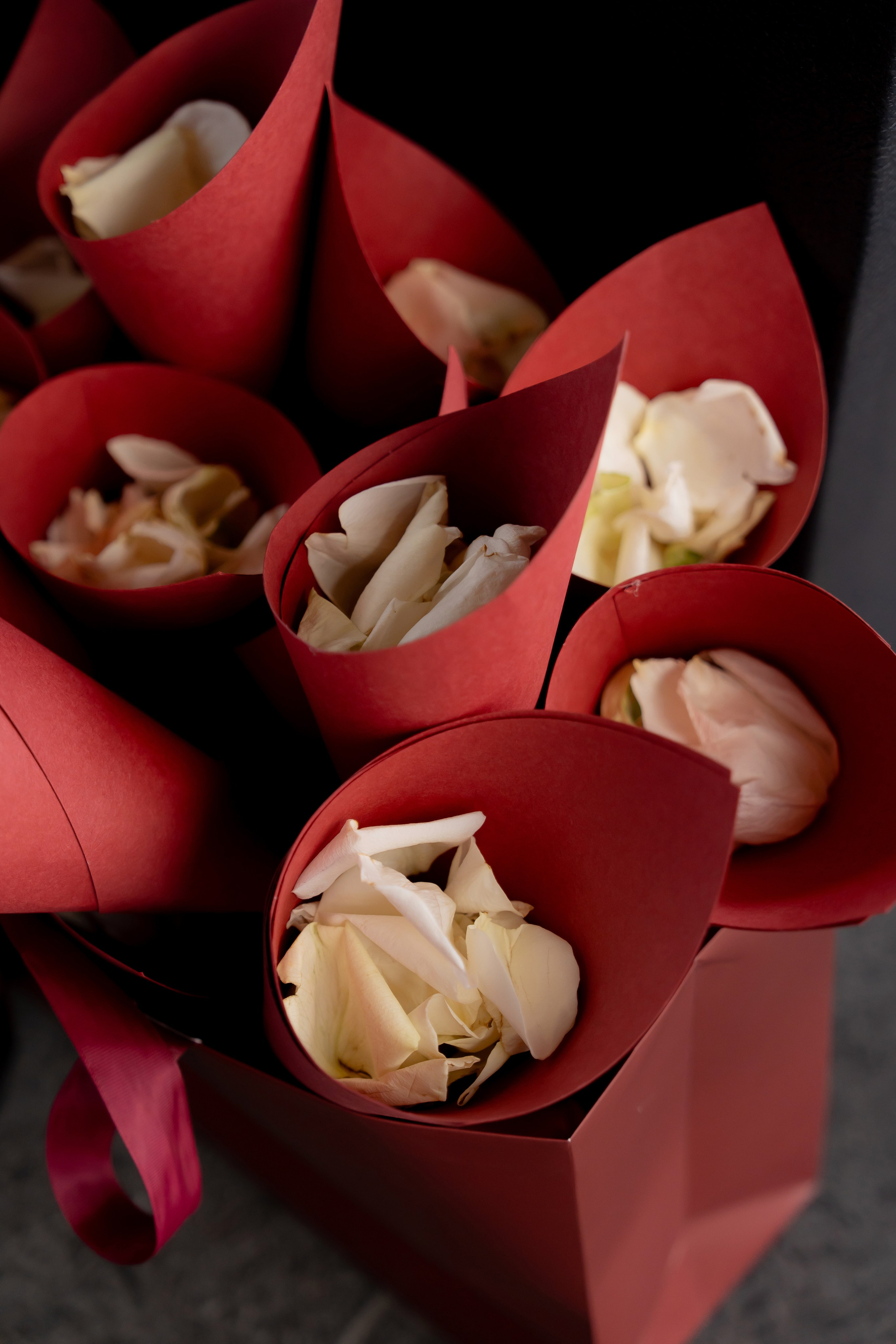 Ірина & Назар. Весільний фотограф Львів Софія Крайник