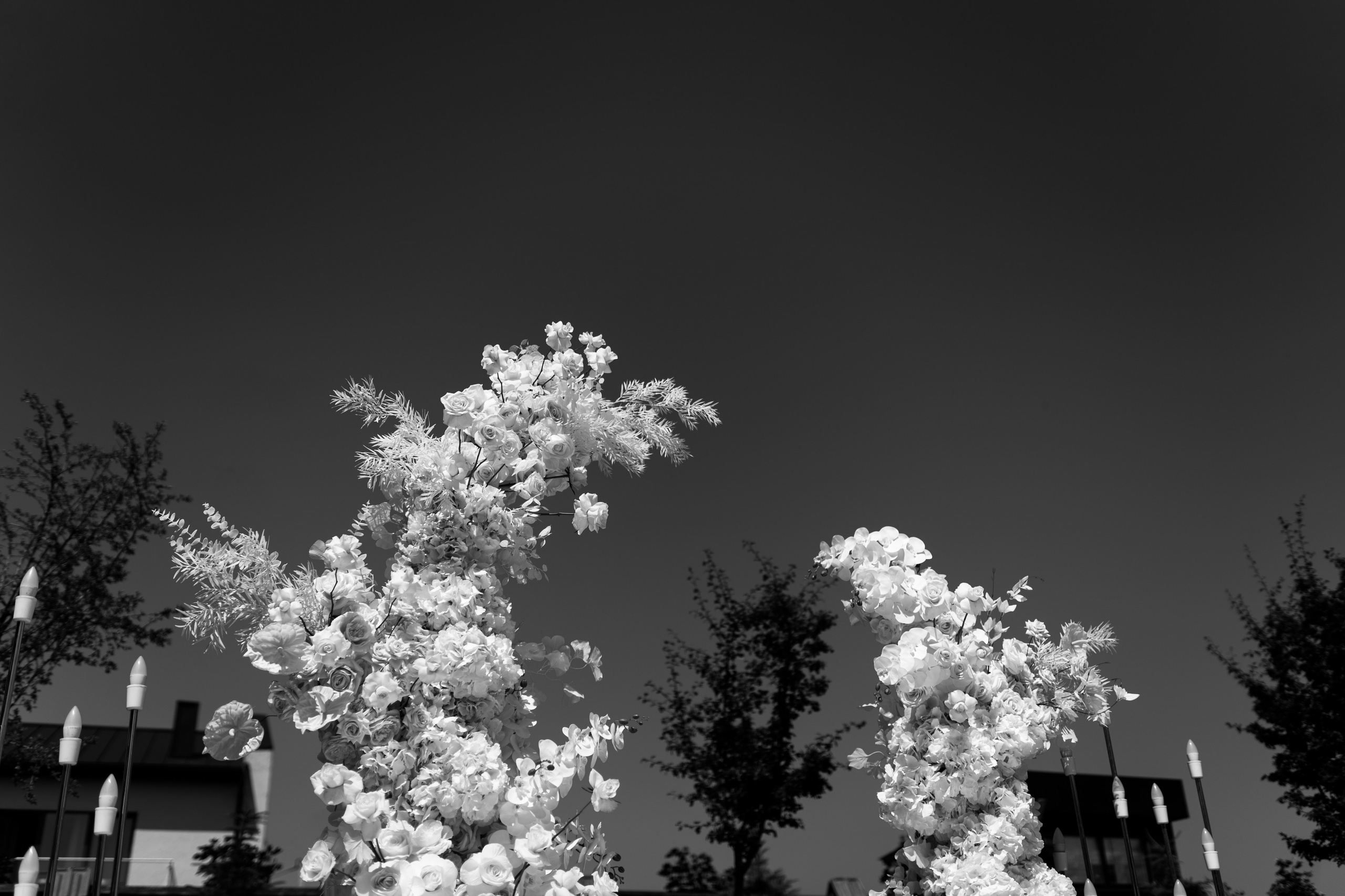 Віталій & Ліліана. Весільний фотограф Львів Софія Крайник