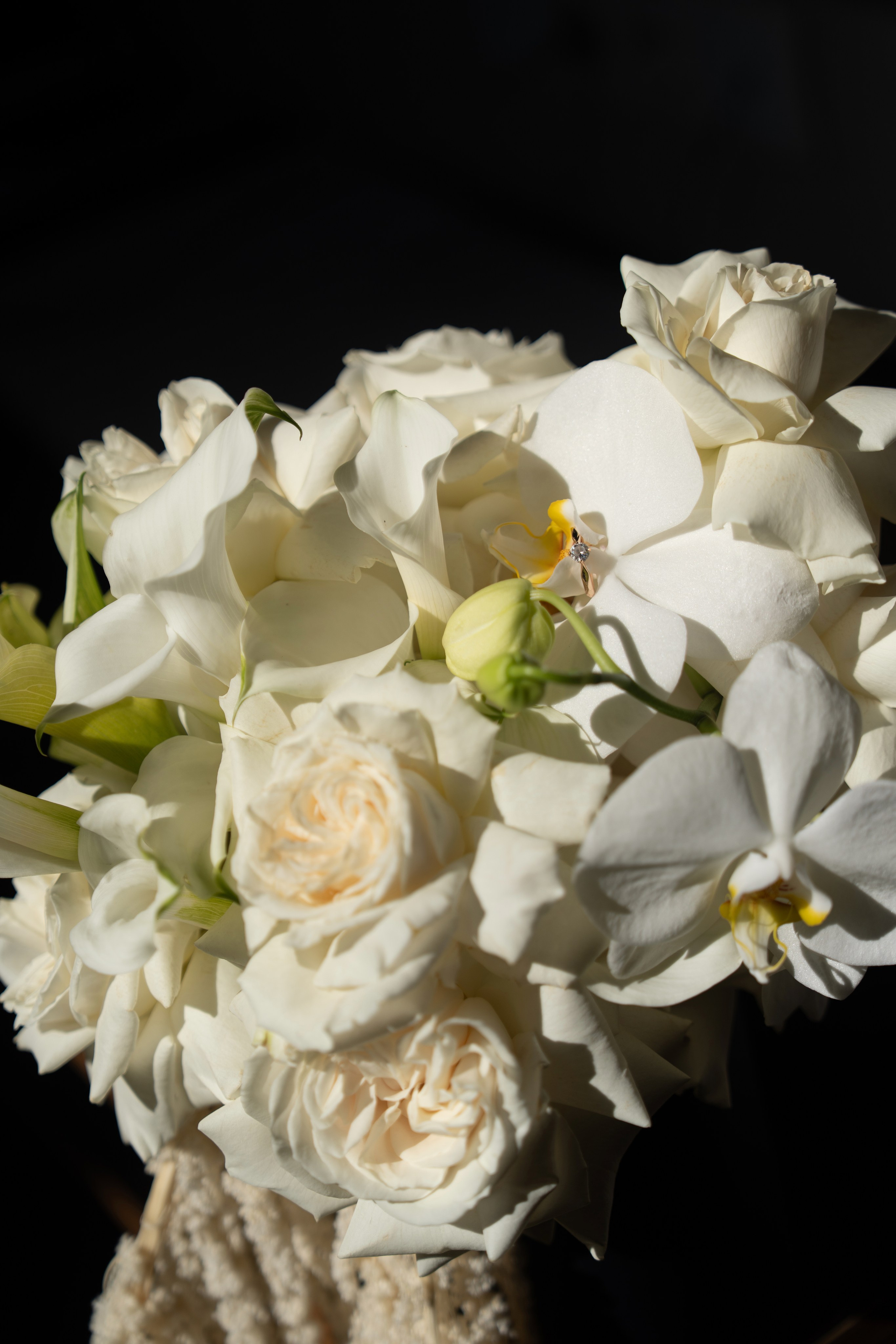 Анастасія & Олексій. Весільний фотограф Львів Софія Крайник