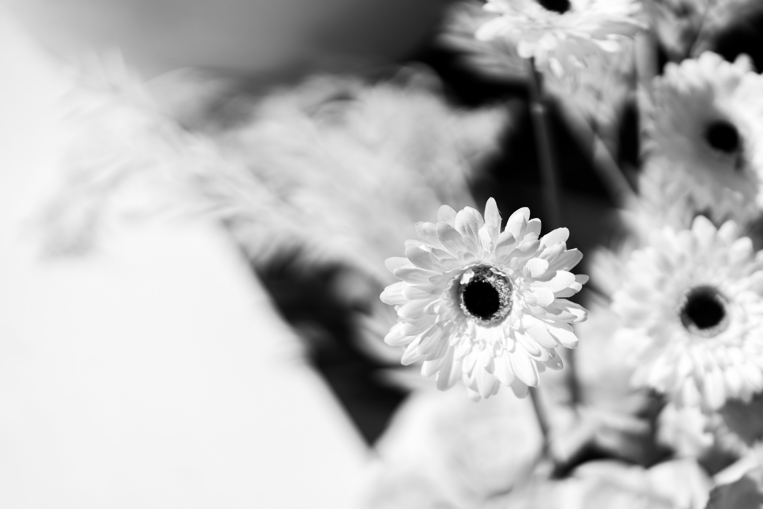 Віталій & Ліліана. Весільний фотограф Львів Софія Крайник