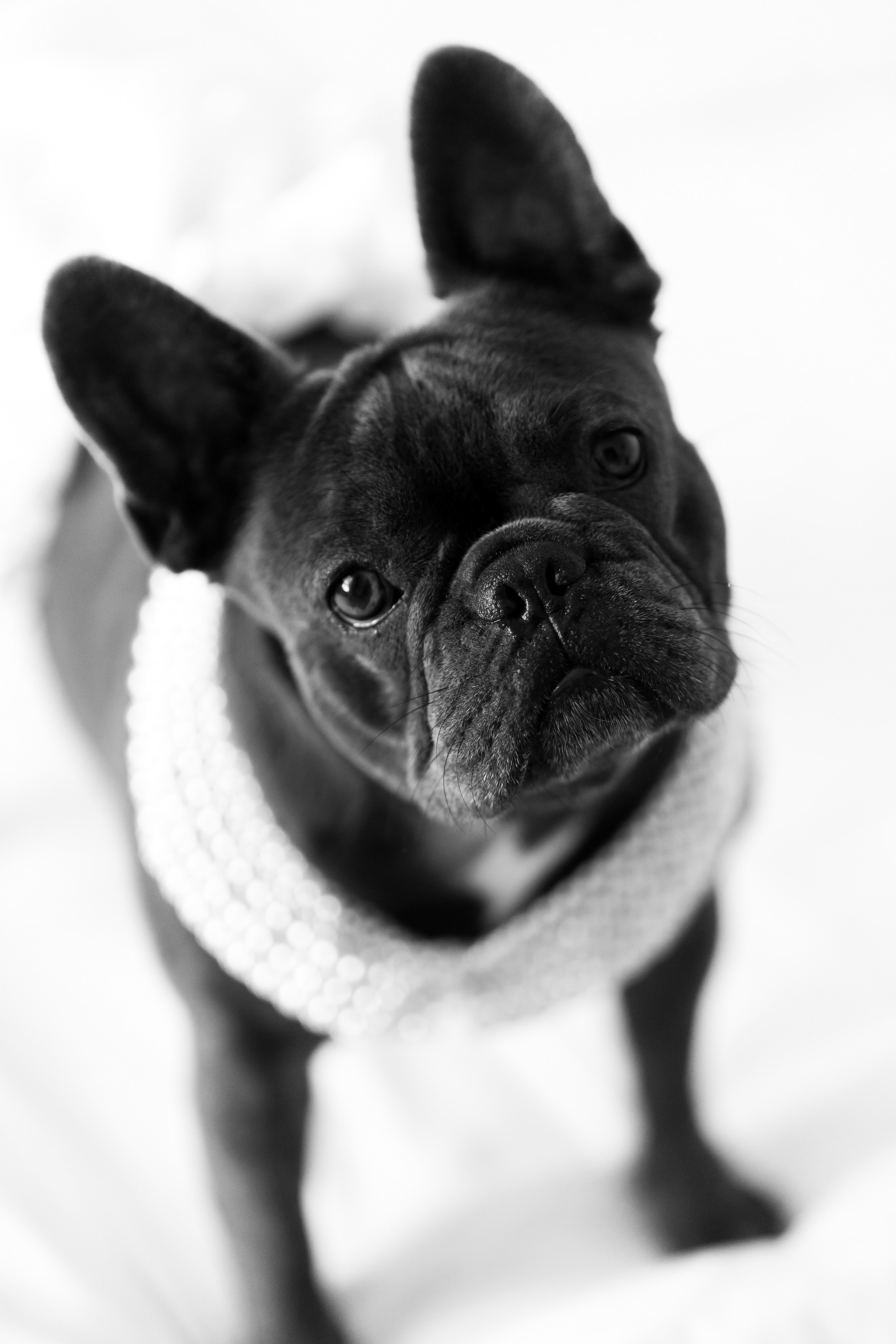 Віталій & Ліліана. Весільний фотограф Львів Софія Крайник