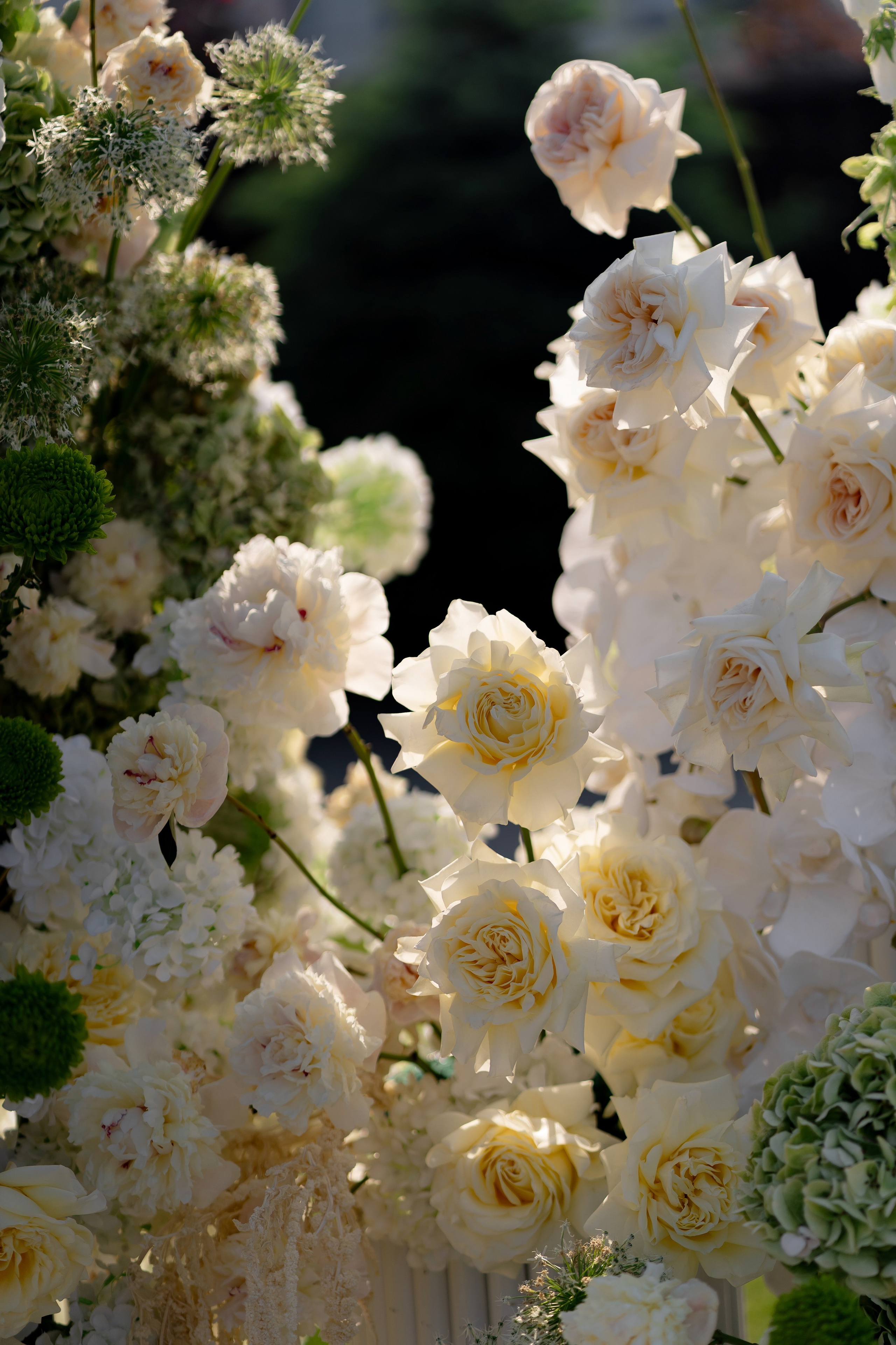 Дарина Микола. Весільний фотограф Львів Софія Крайник