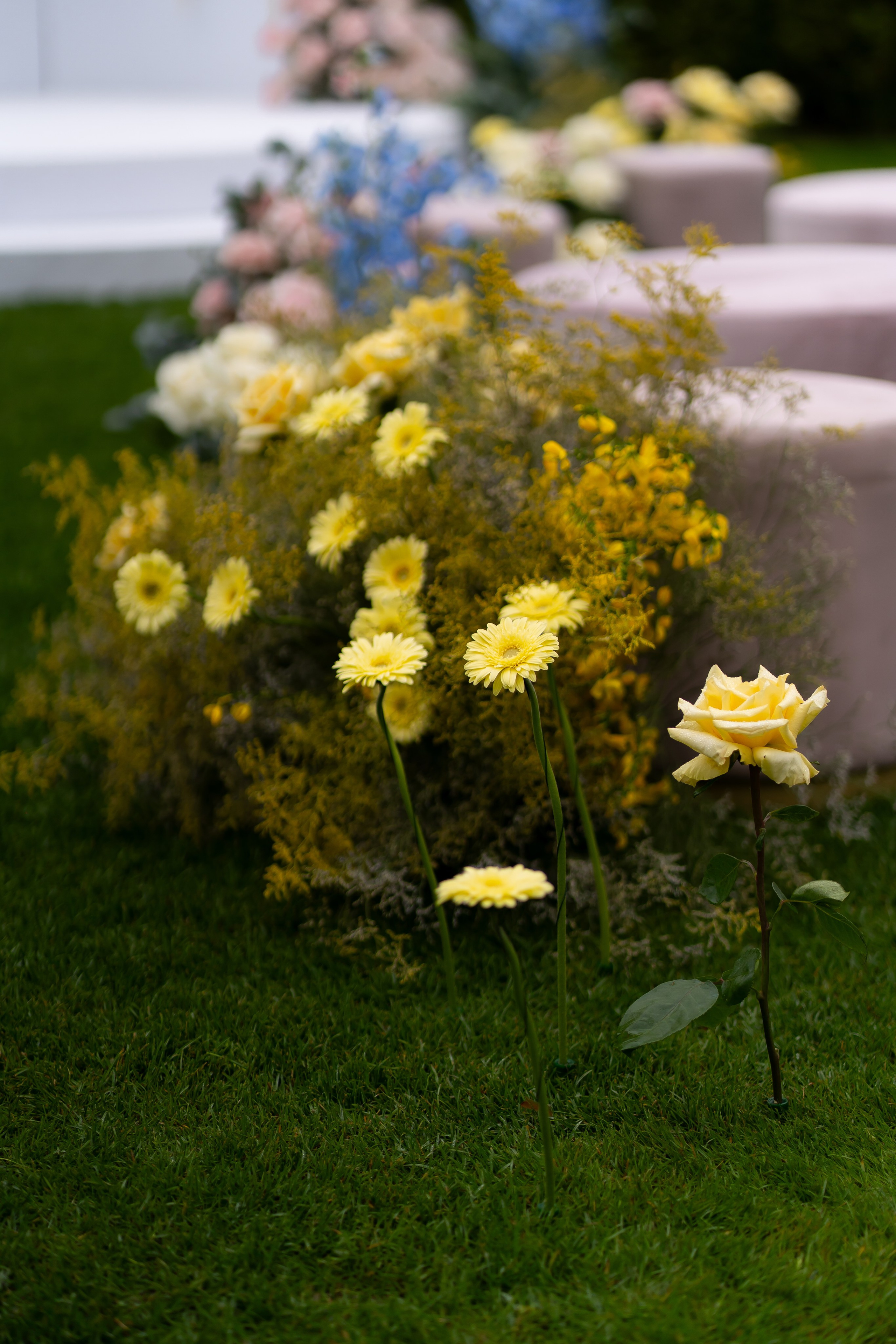Тетяна & Остап. Весільний фотограф Львів Софія Крайник