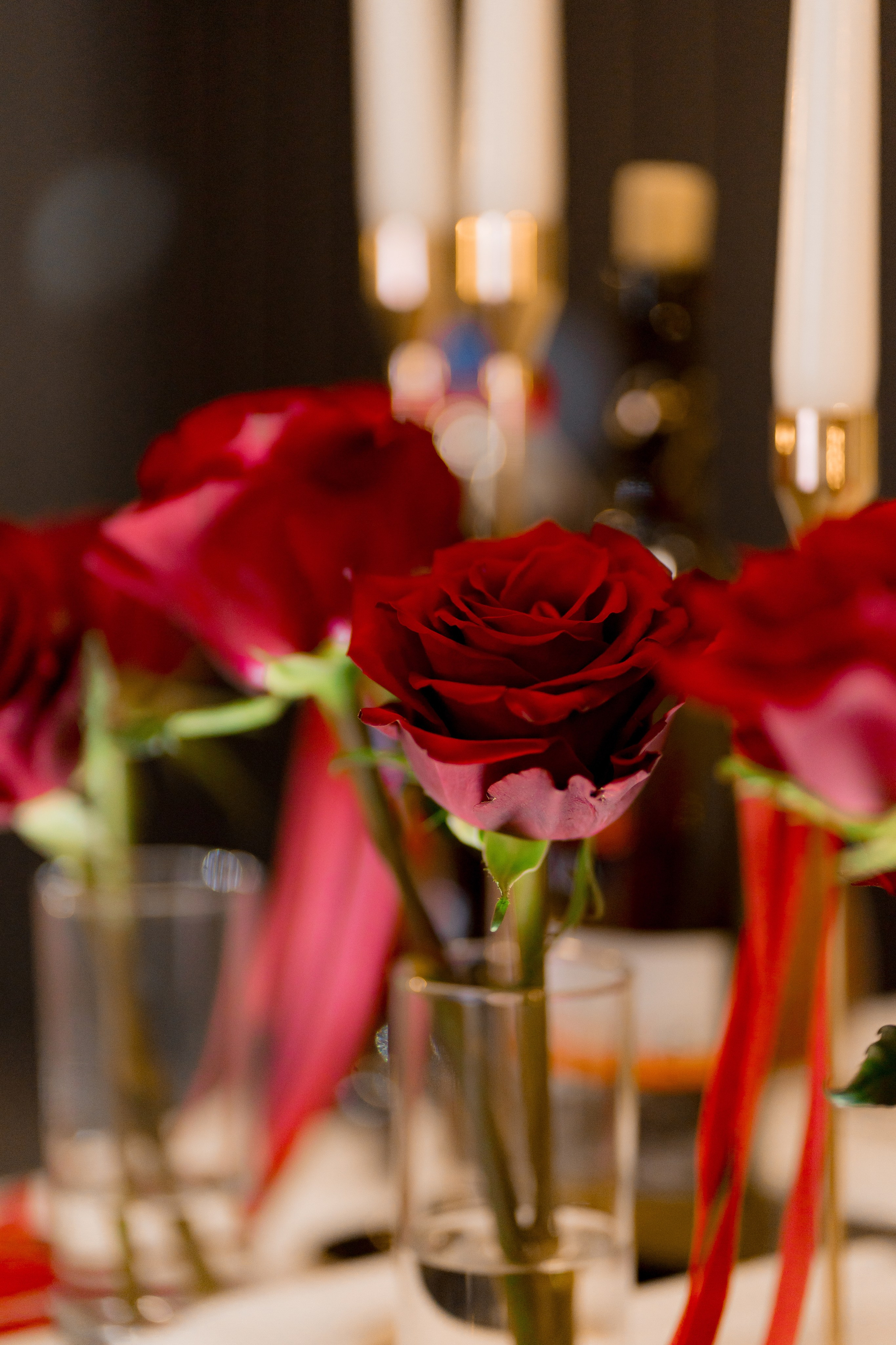 Діма & Анна. Весільний фотограф Львів Софія Крайник