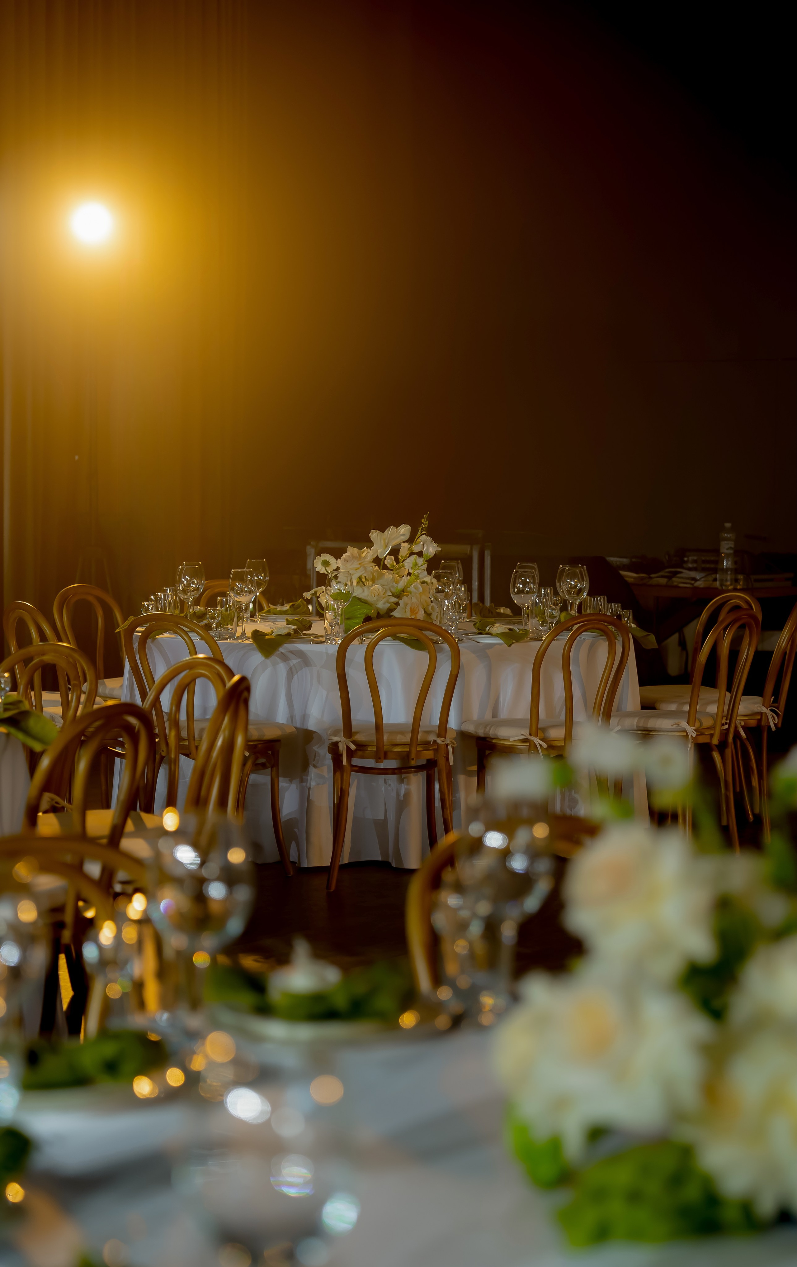 Дарина Микола. Весільний фотограф Львів Софія Крайник