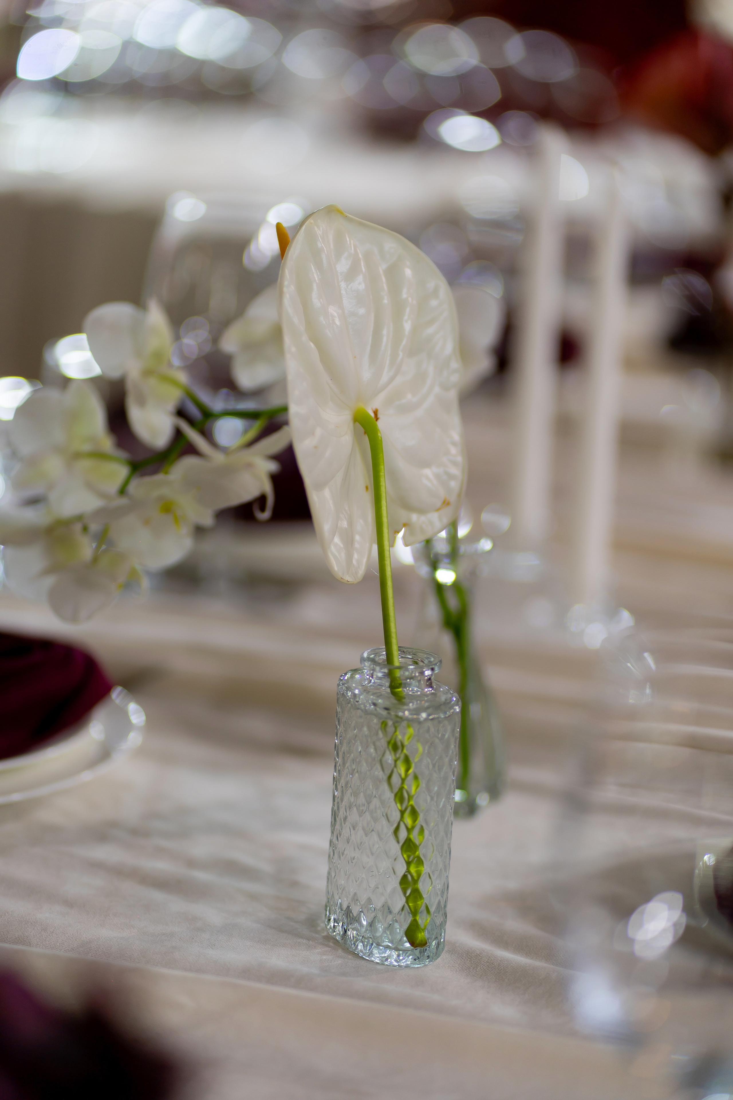 Ірина & Назар. Весільний фотограф Львів Софія Крайник