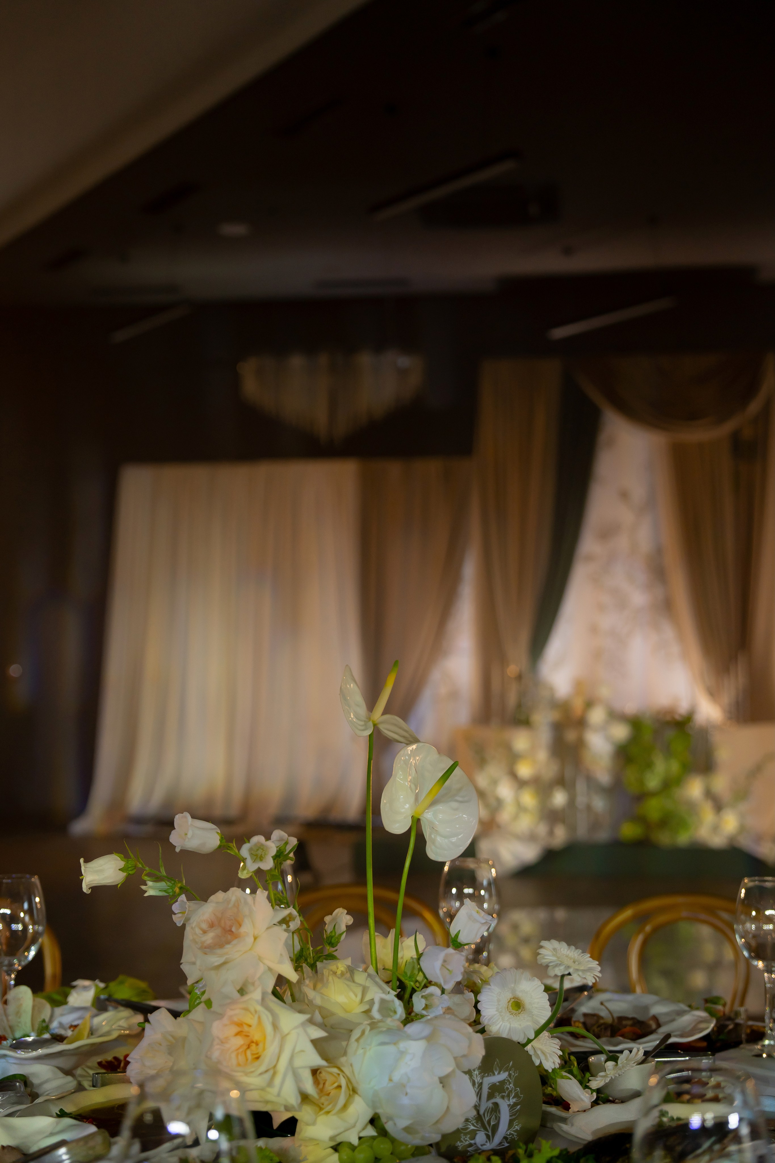 Дарина Микола. Весільний фотограф Львів Софія Крайник