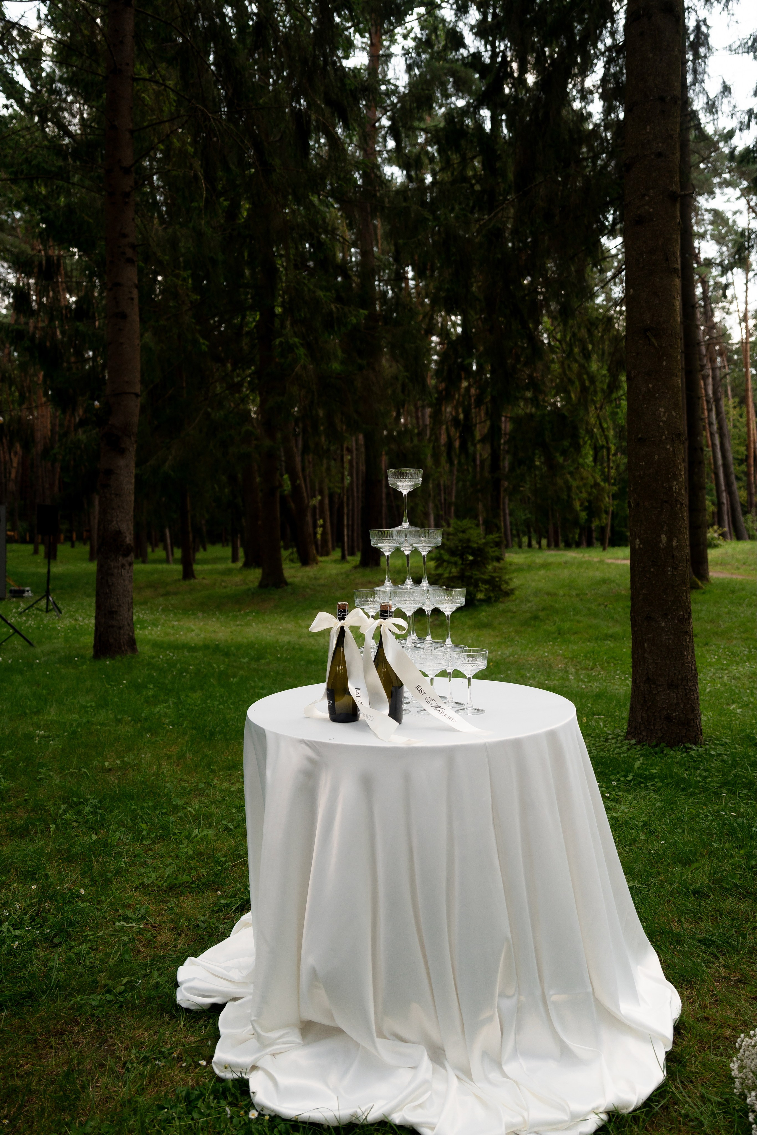 Анастасія & Олексій. Весільний фотограф Львів Софія Крайник