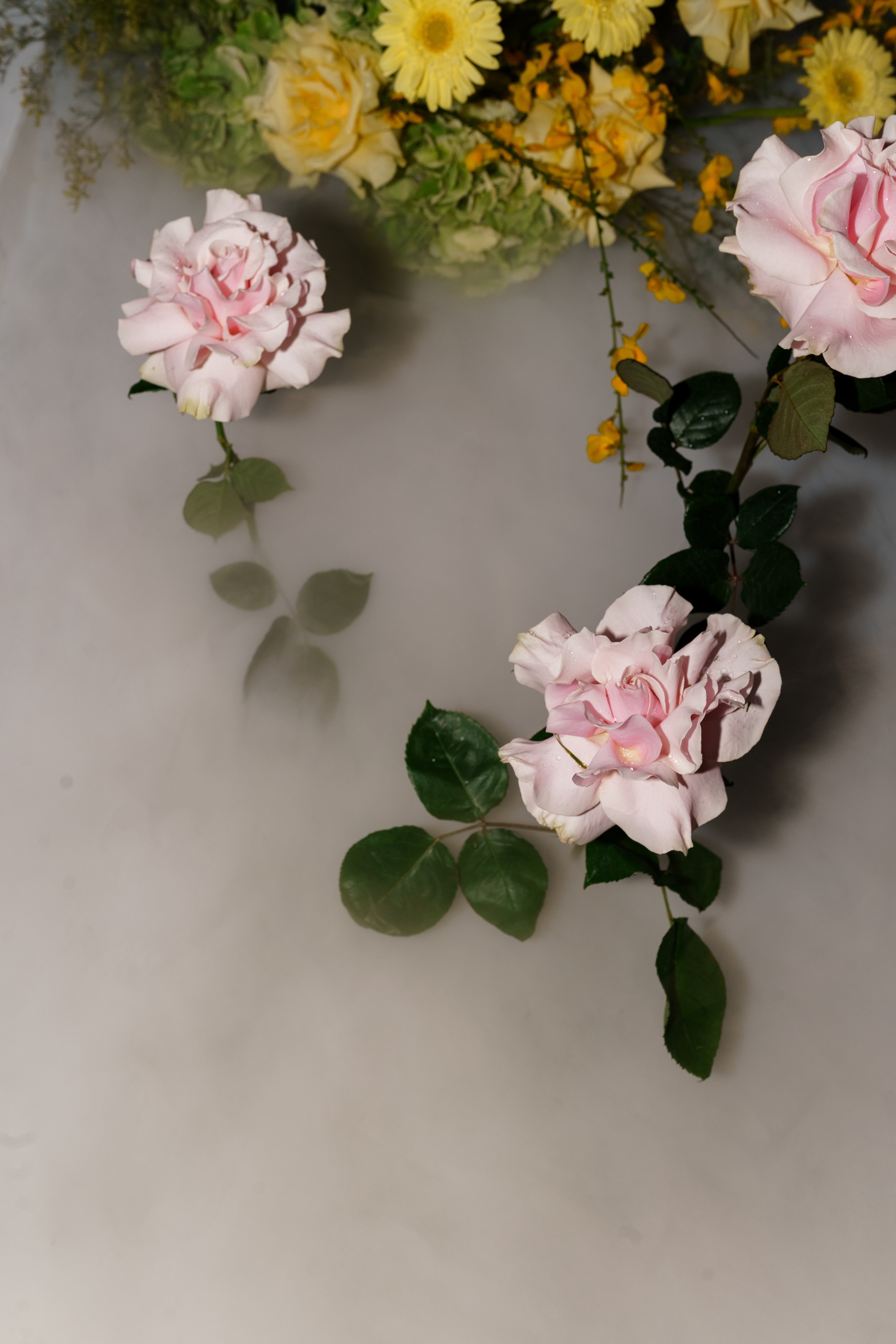 Тетяна & Остап. Весільний фотограф Львів Софія Крайник