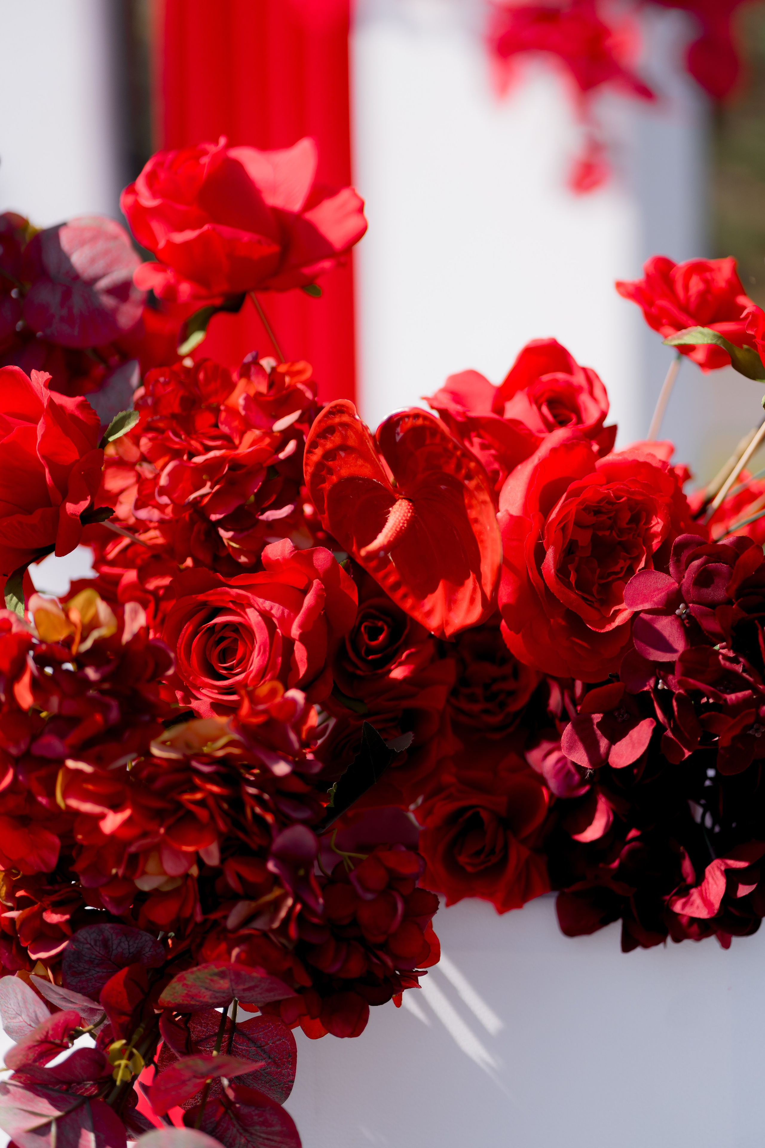 Діма & Анна. Весільний фотограф Львів Софія Крайник