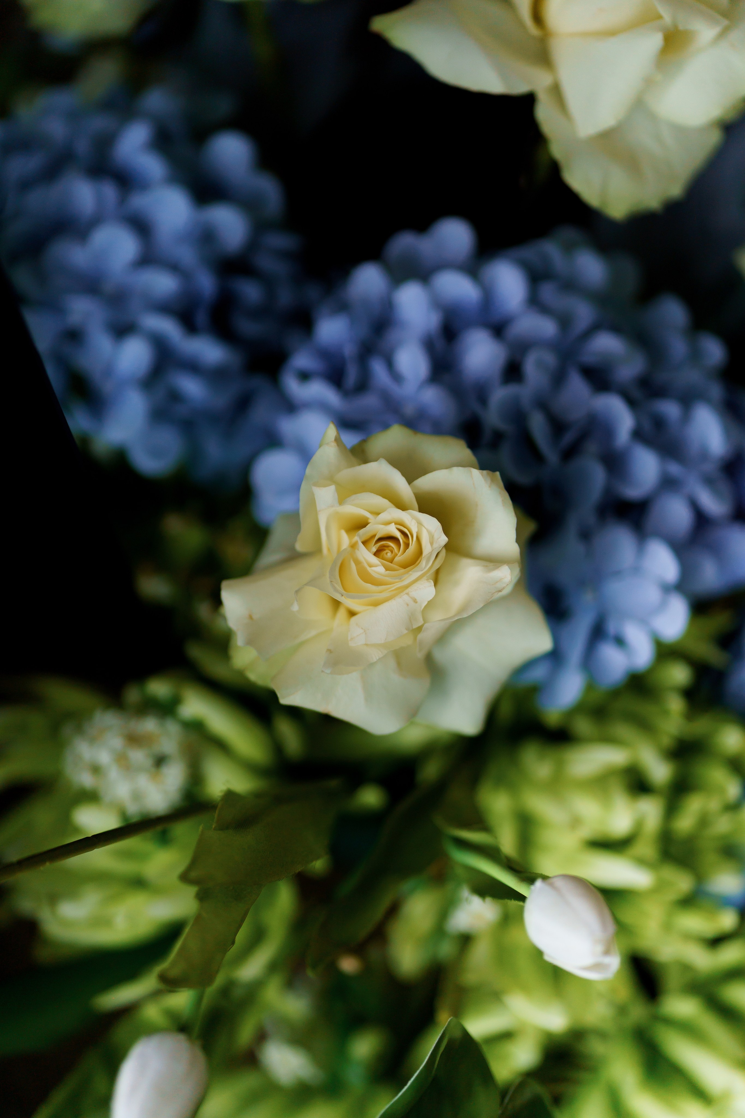 Анонс Ангеліна & Роман. Весільний фотограф Львів Софія Крайник