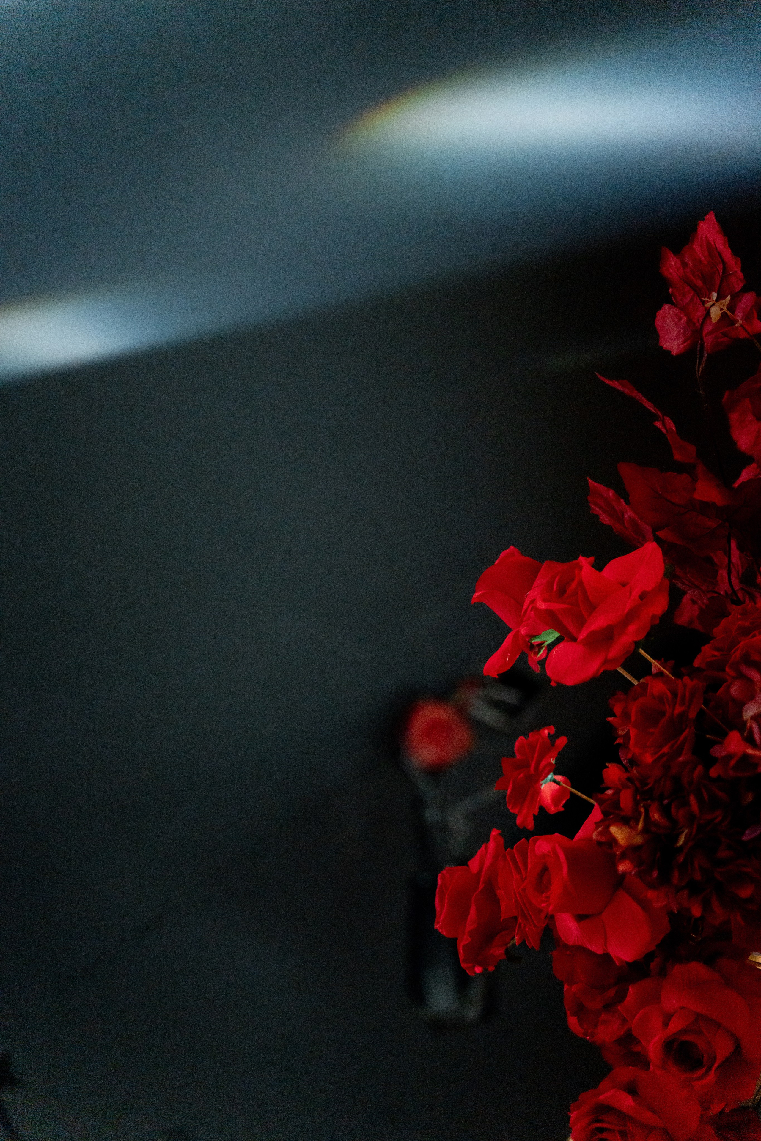 Діма & Анна. Весільний фотограф Львів Софія Крайник