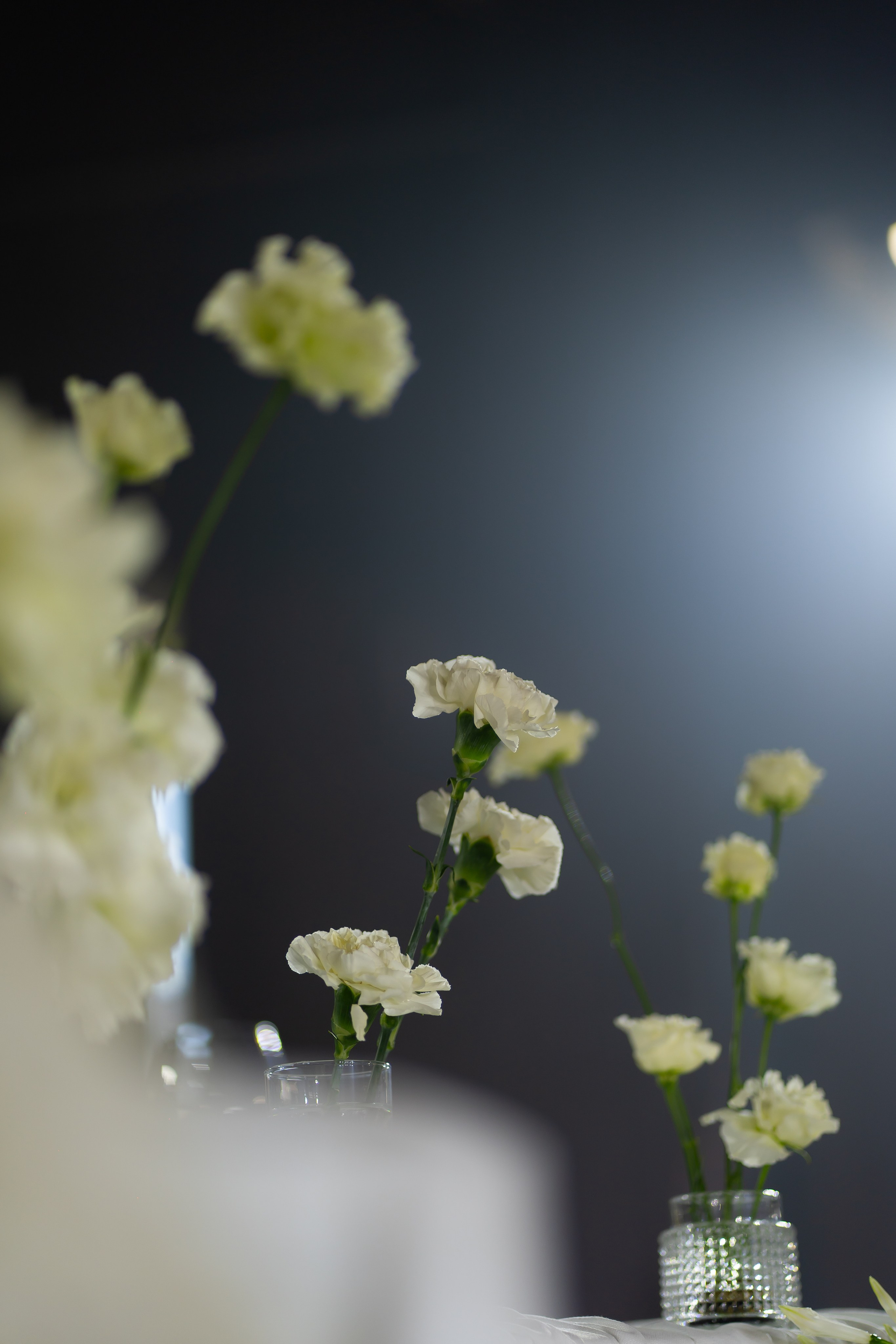 Ю&А. Весільний фотограф Львів Софія Крайник