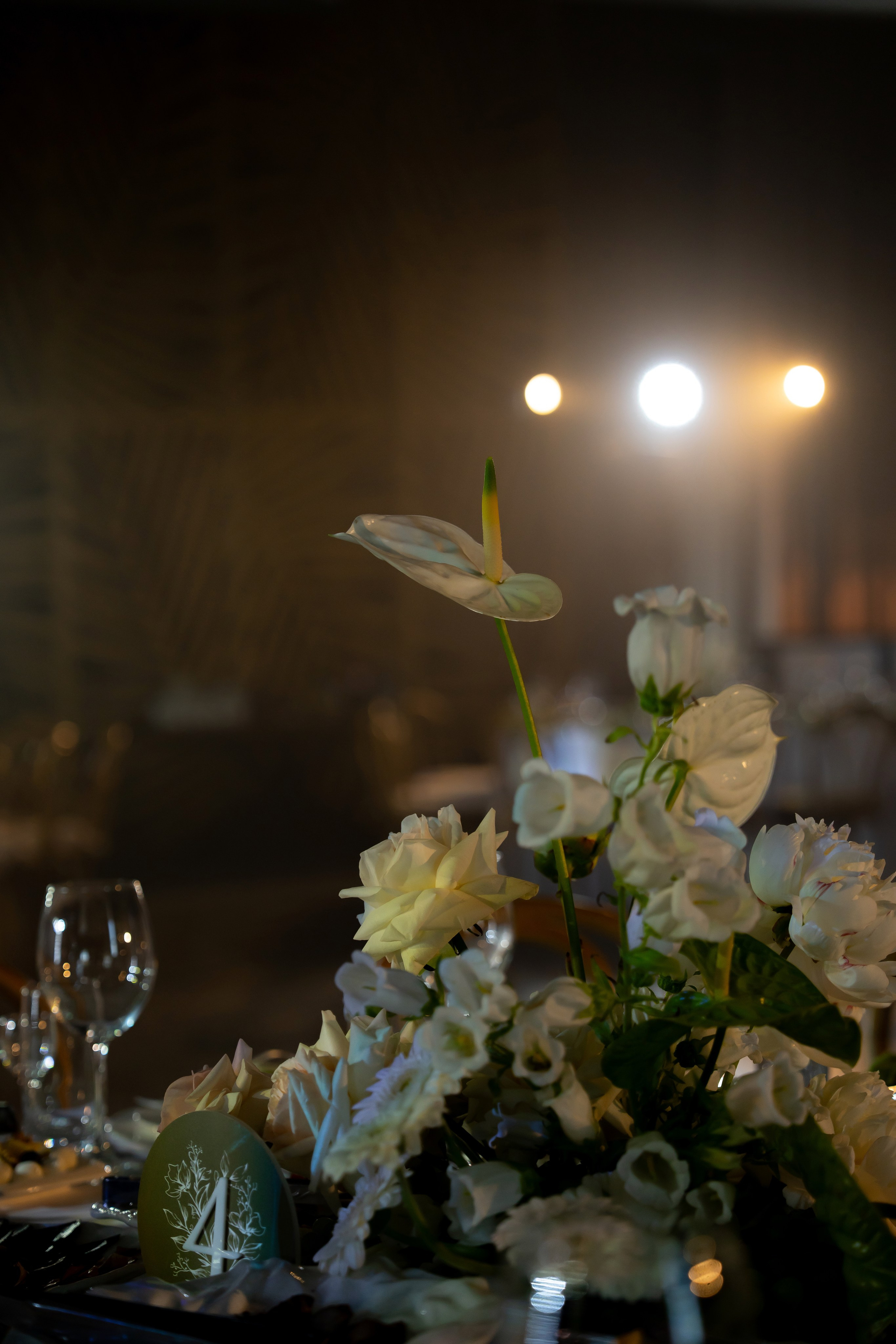 Дарина Микола. Весільний фотограф Львів Софія Крайник