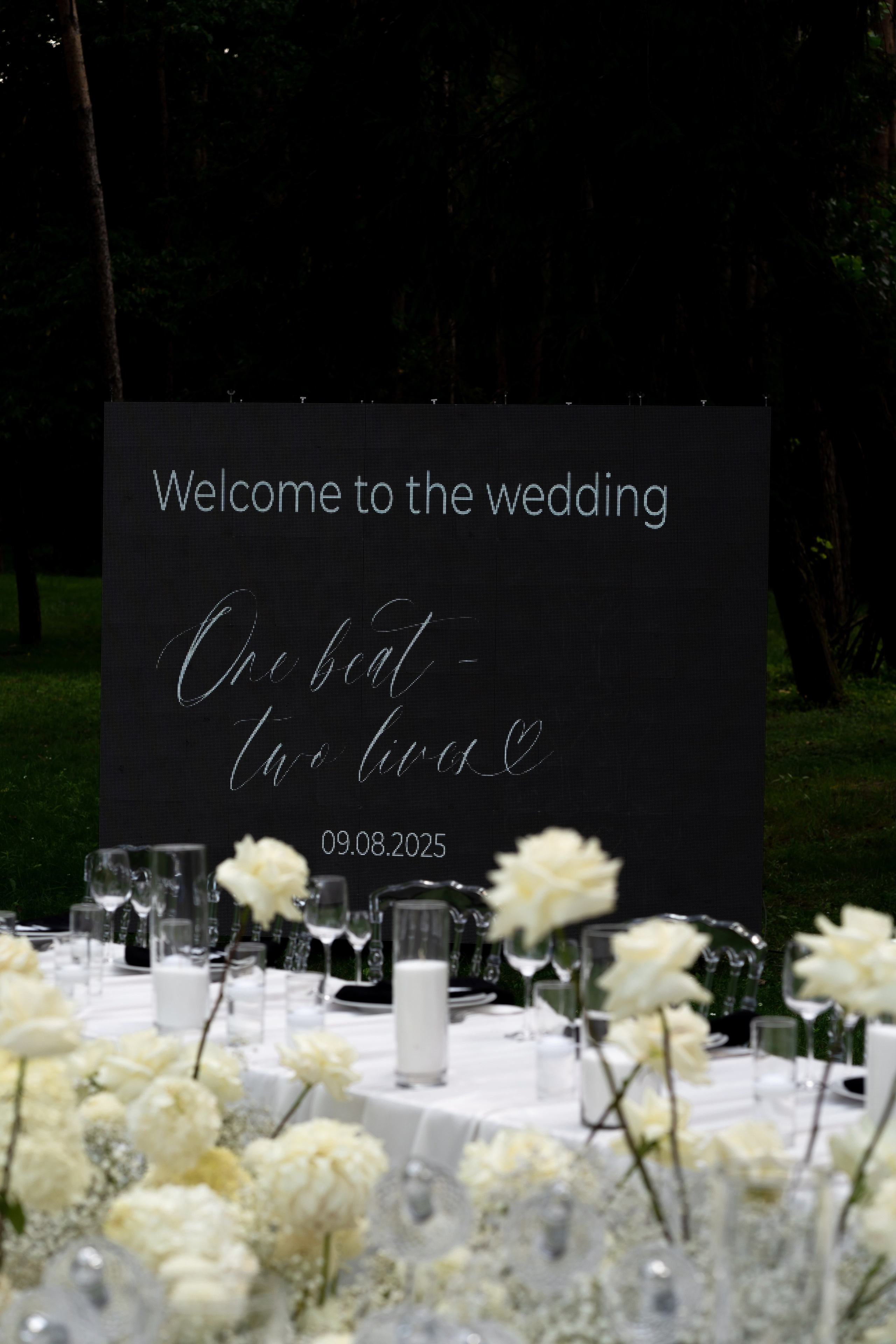 Анастасія & Олексій. Весільний фотограф Львів Софія Крайник